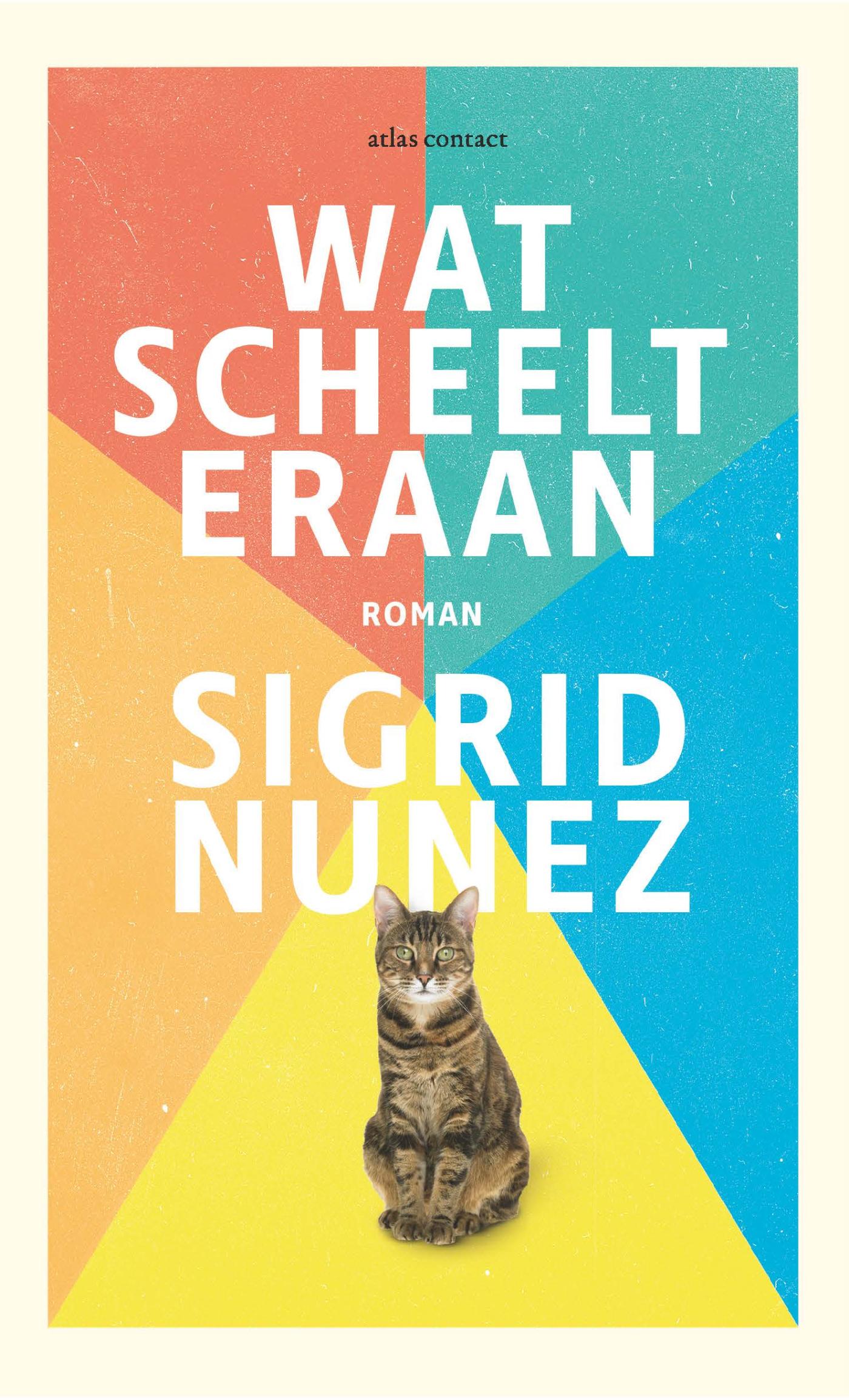 Wat scheelt eraan : roman
