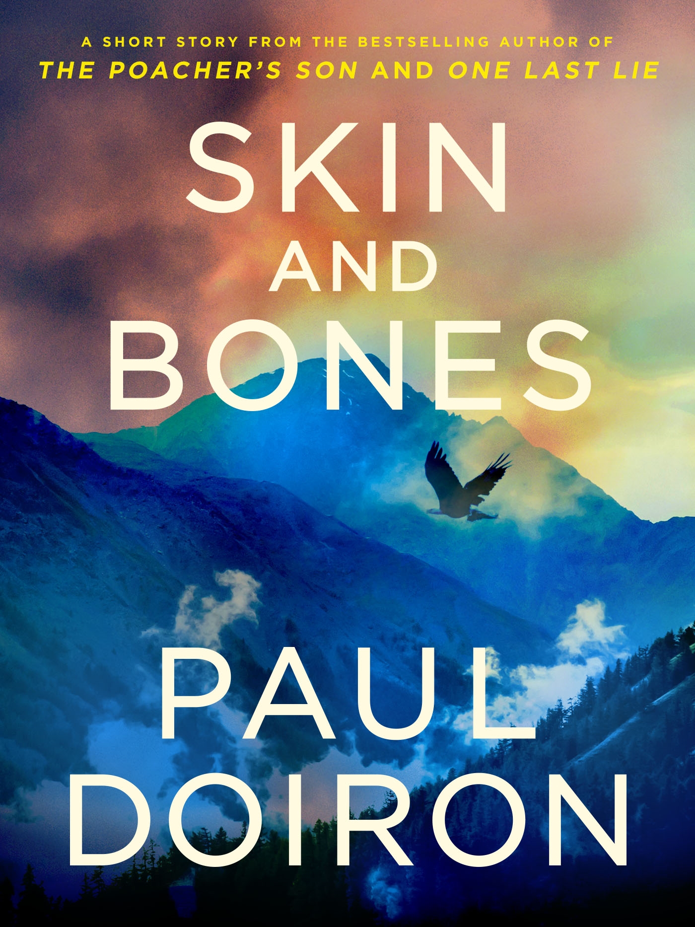 Cover image for Skin and Bones [electronic resource] : A Mike Bowditch Short Mystery