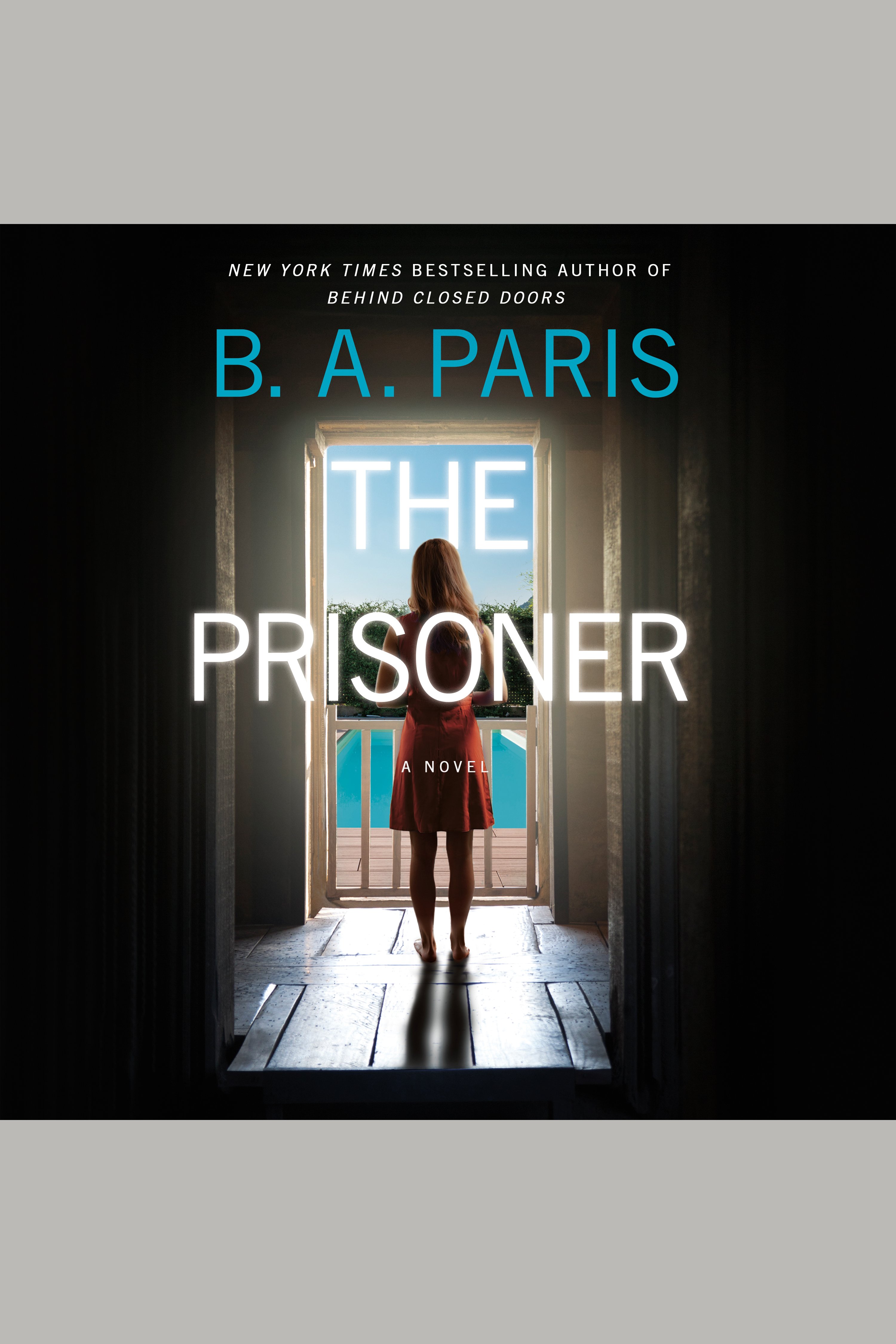 Umschlagbild für The Prisoner [electronic resource] : A Novel
