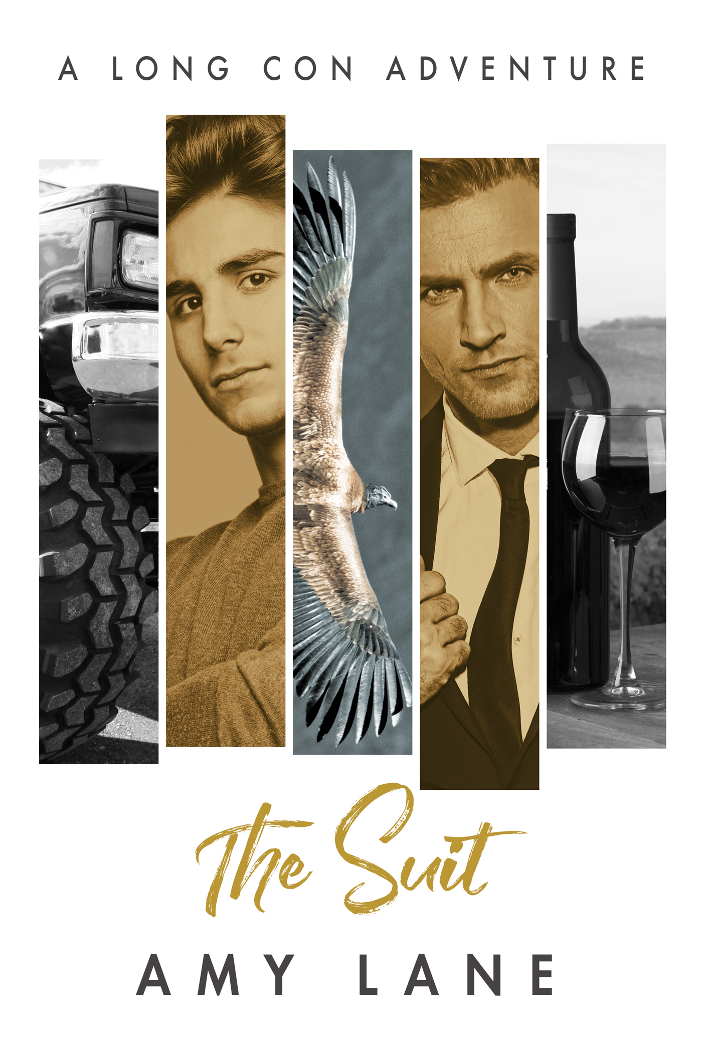 Umschlagbild für The Suit [electronic resource] :