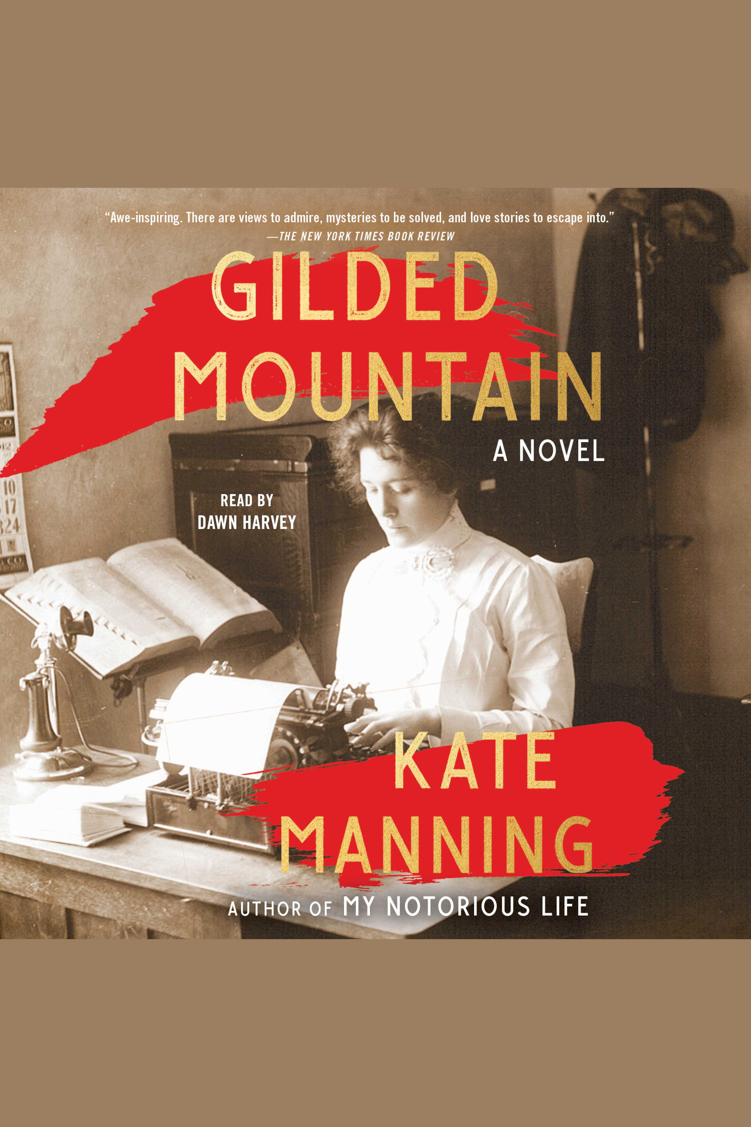 Image de couverture de Gilded Mountain [electronic resource] : A Novel