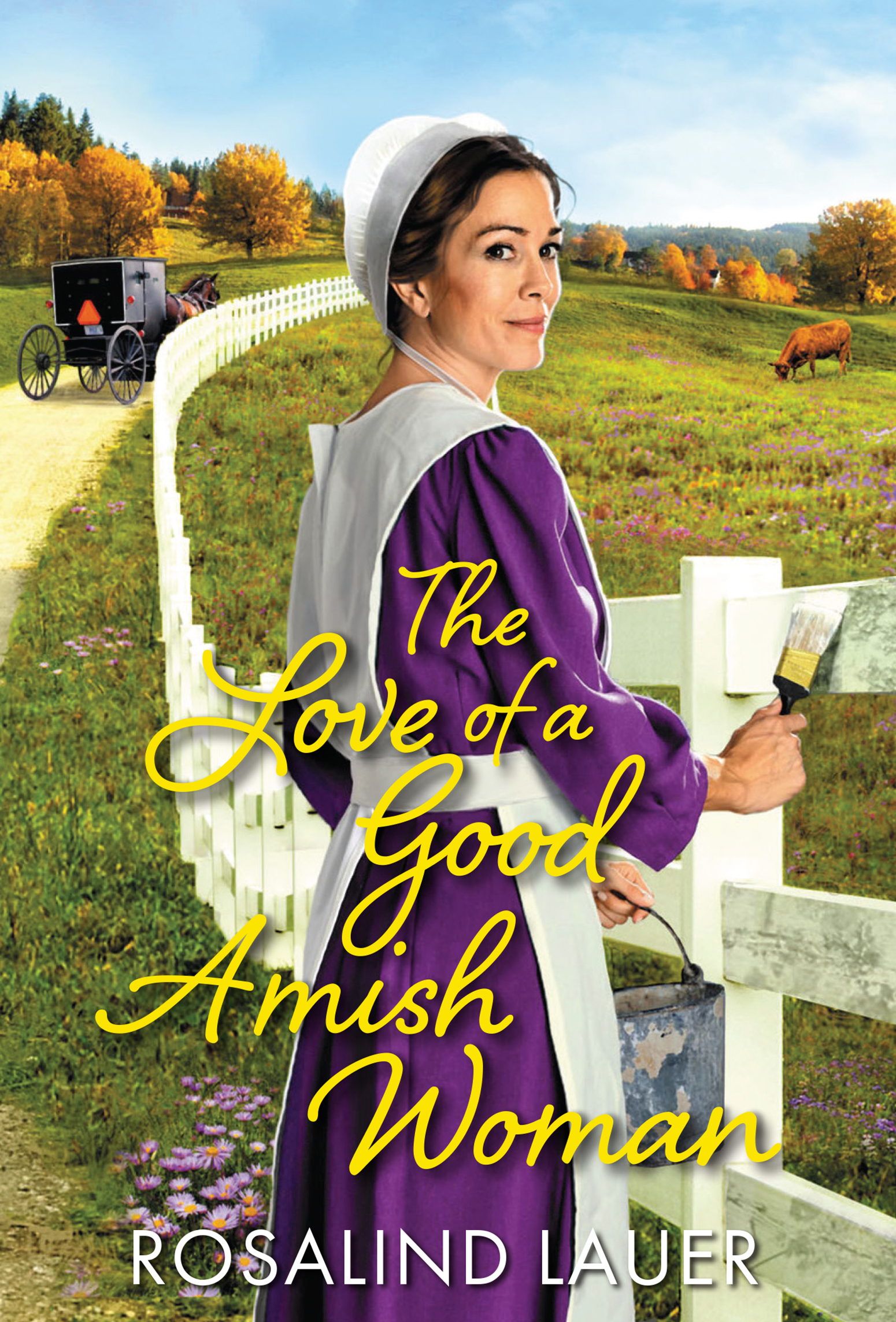 Umschlagbild für The Love of a Good Amish Woman [electronic resource] :