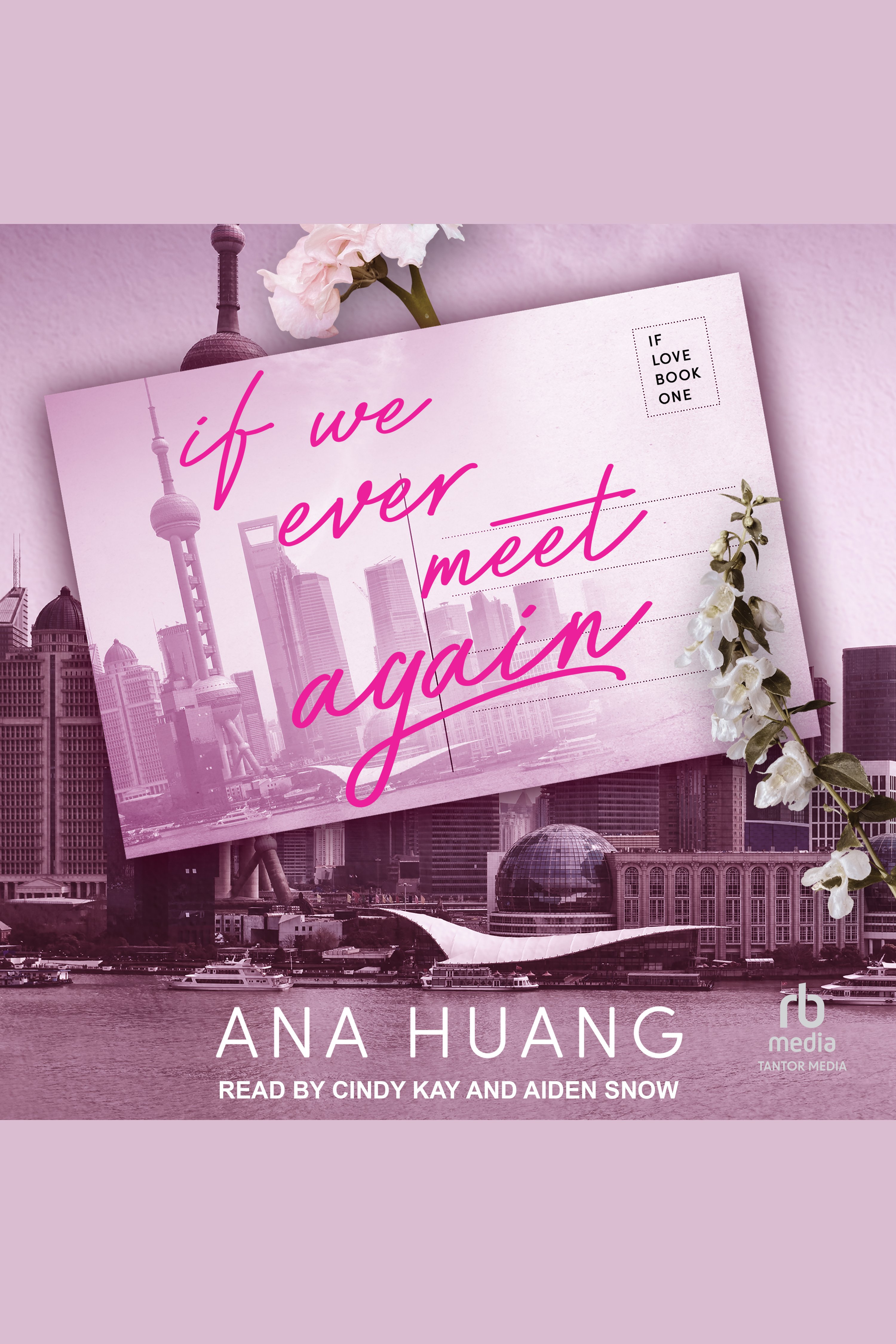 If we ever meet again