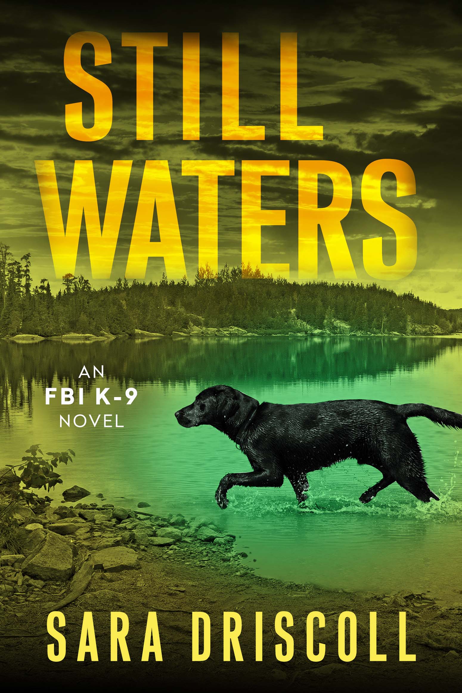 Umschlagbild für Still Waters [electronic resource] : A Riveting Novel of Suspense