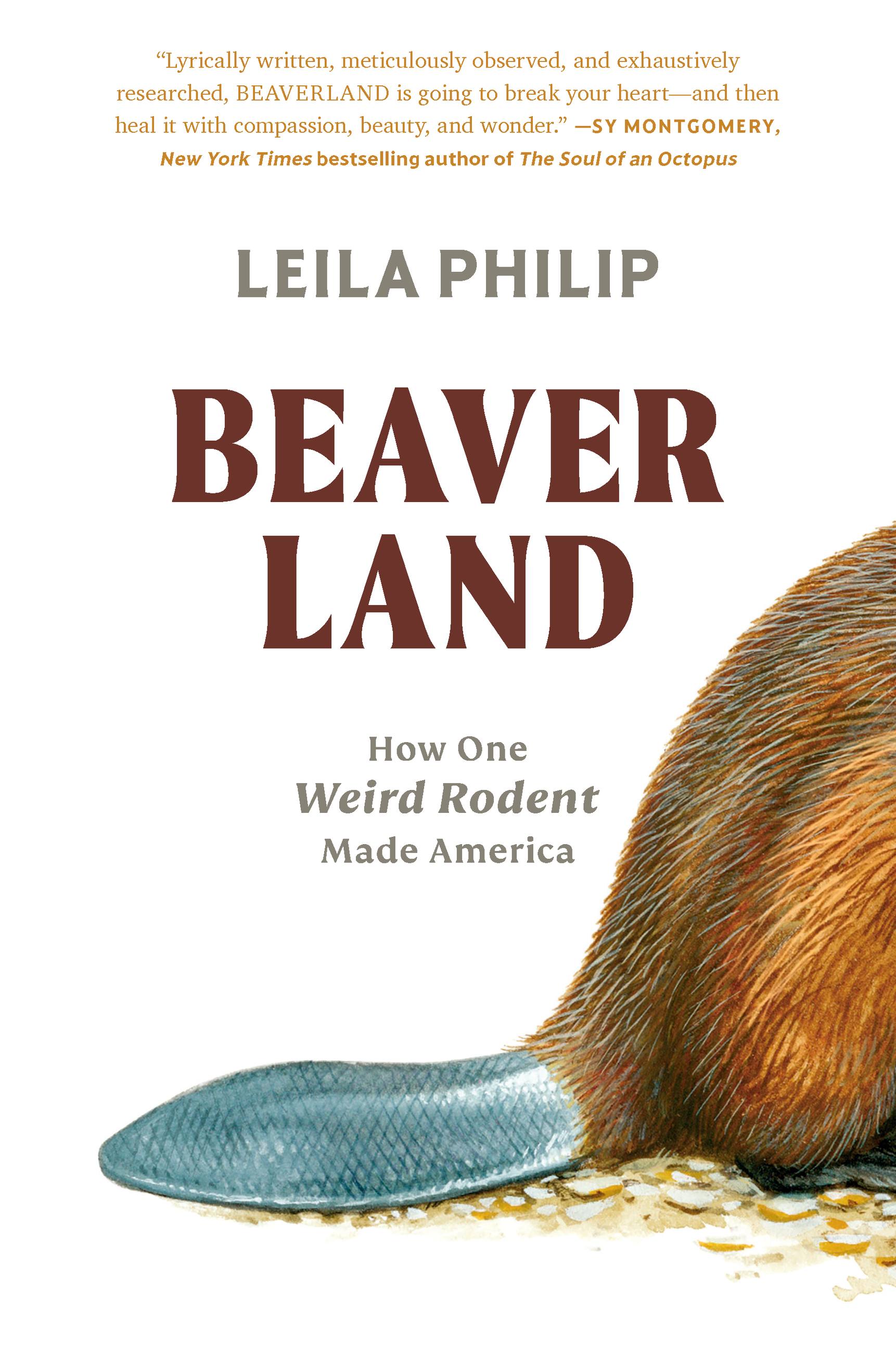 Cover image for Beaverland [electronic resource] : How One Weird Rodent Made America