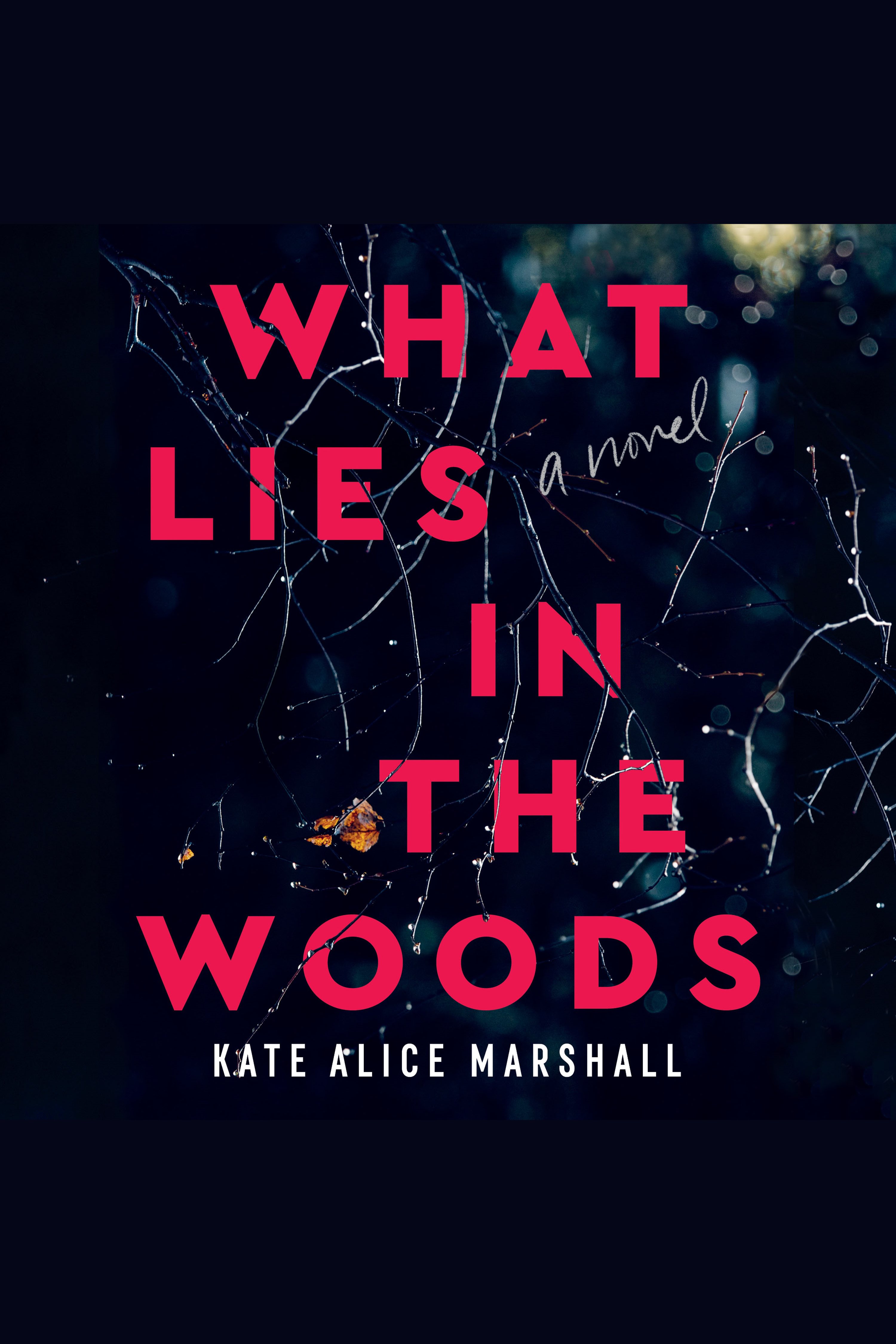 Umschlagbild für What Lies in the Woods [electronic resource] : A Novel