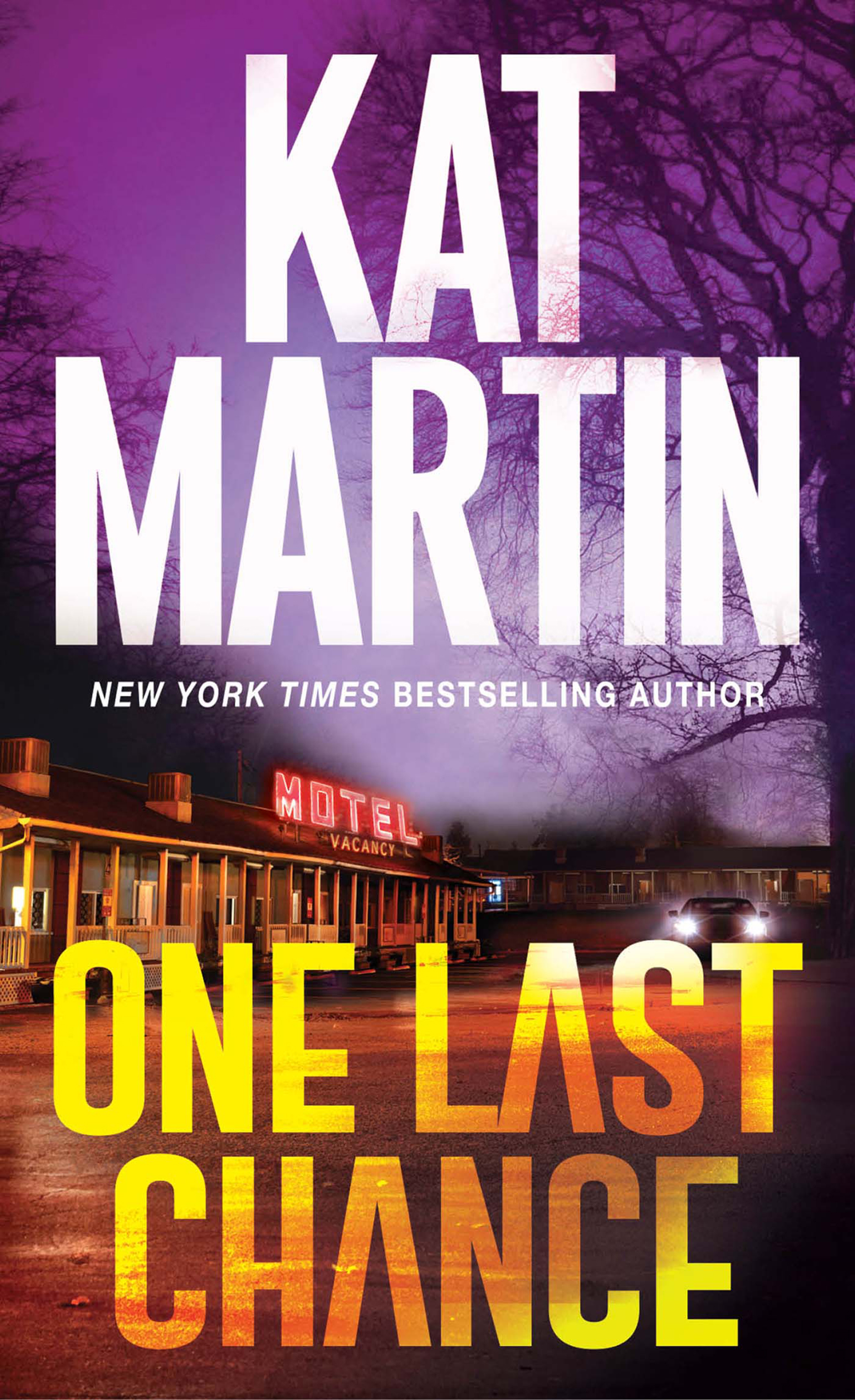 Image de couverture de One Last Chance [electronic resource] : A Thrilling Novel of Suspense