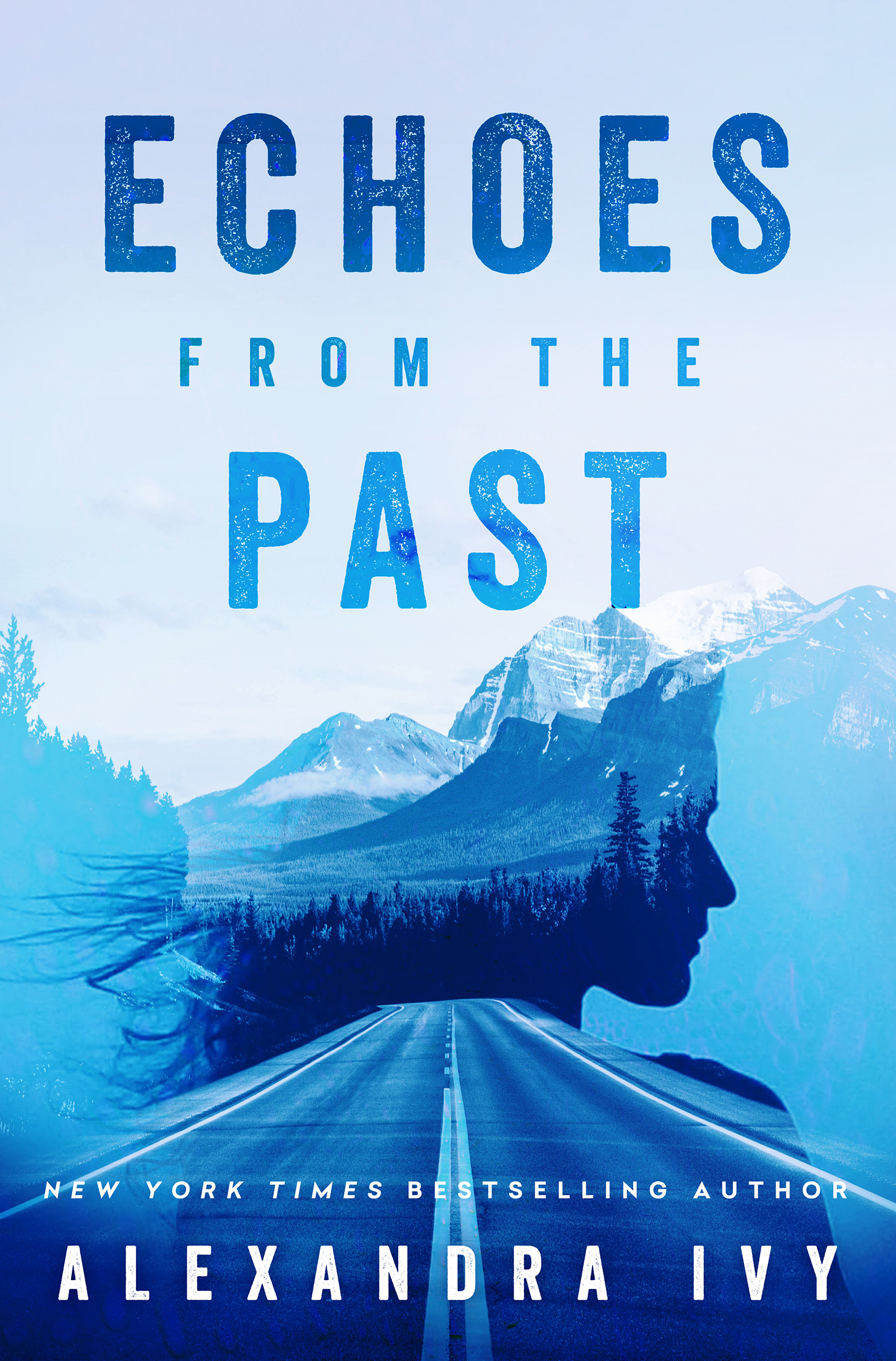Cover image for Echoes from the Past [electronic resource] :