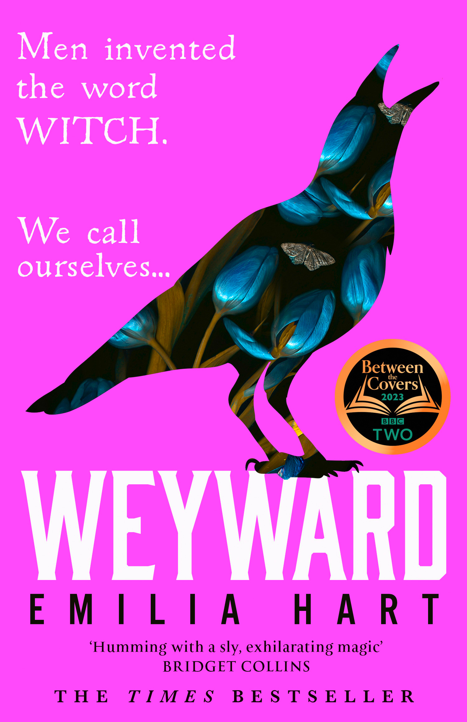Weyward - Sterke vrouwen