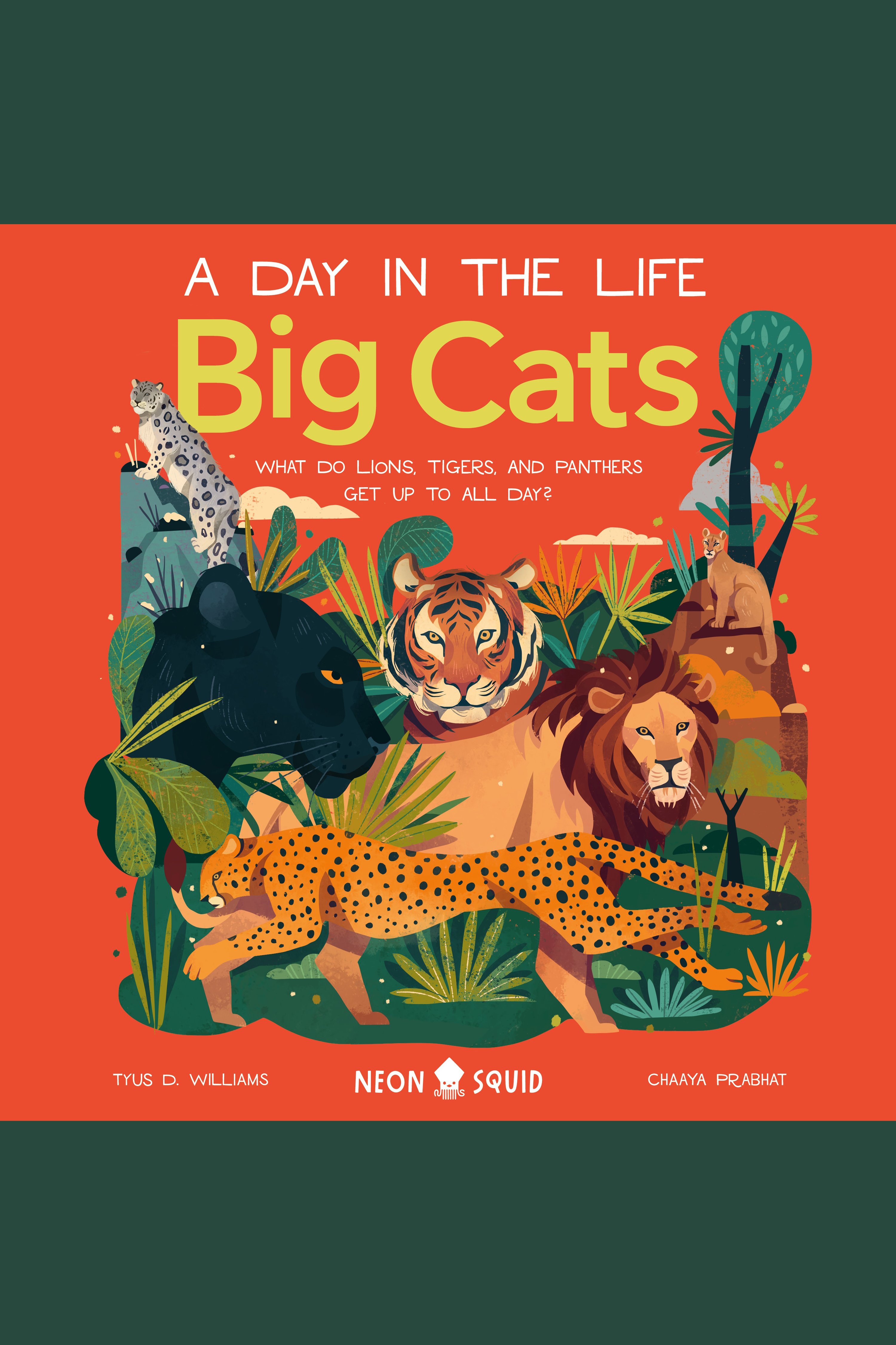 Big Cats What Do Lions, Tigers, and Panthers Get up to All Day? cover image