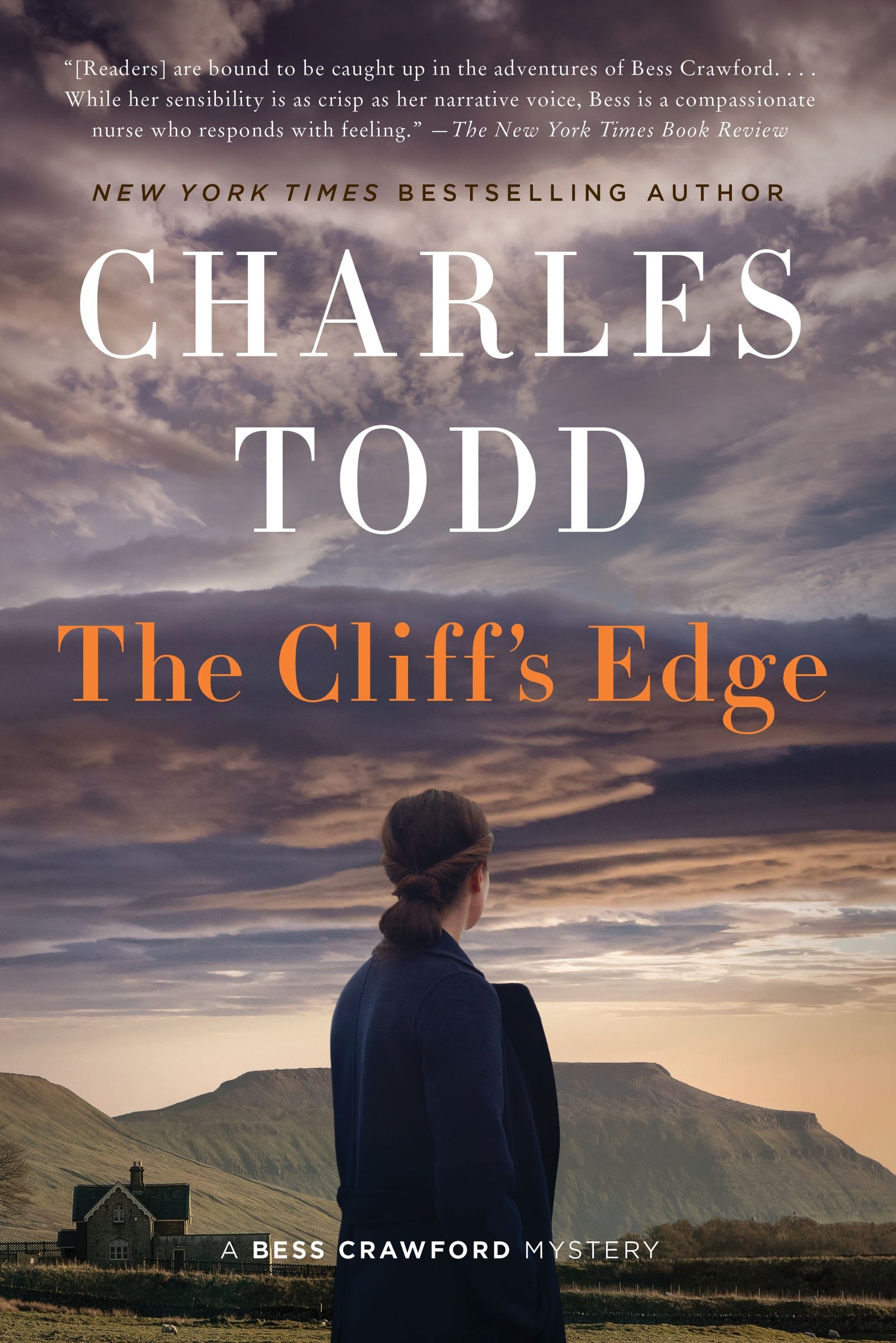 The Cliff's Edge cover image
