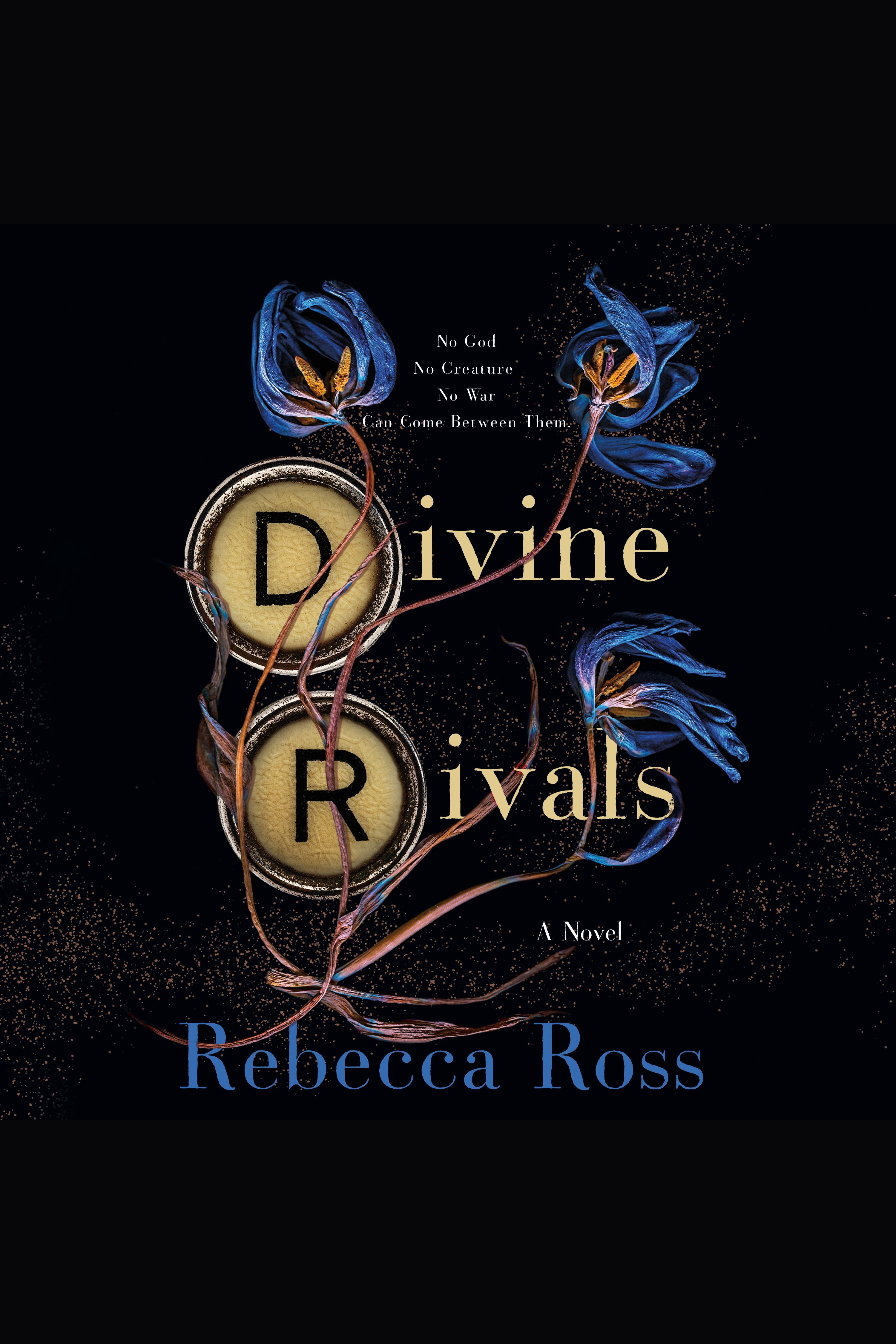 Cover image for Divine Rivals [electronic resource] : A Novel