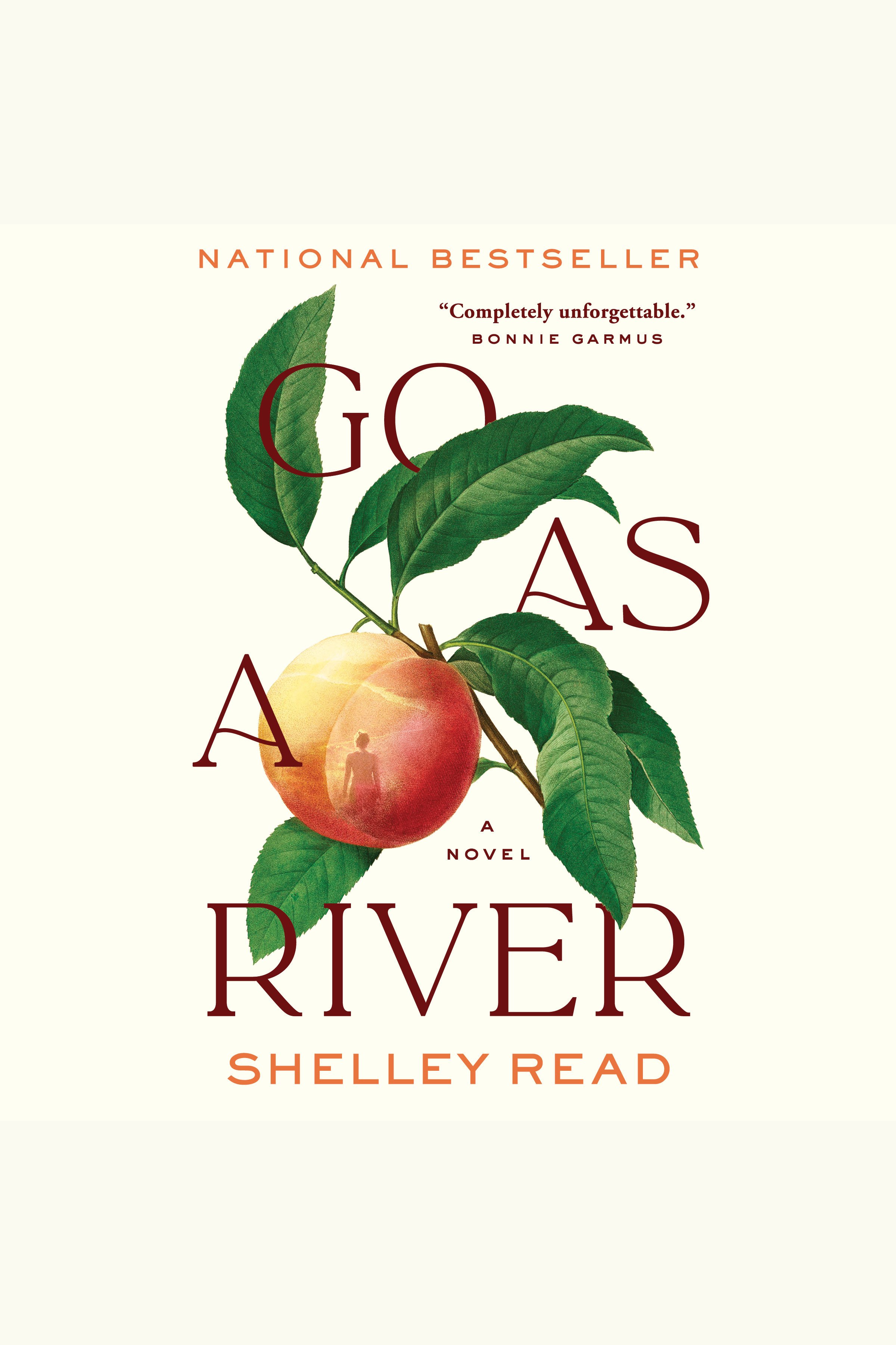 Imagen de portada para GO AS A RIVER [electronic resource] : A Novel