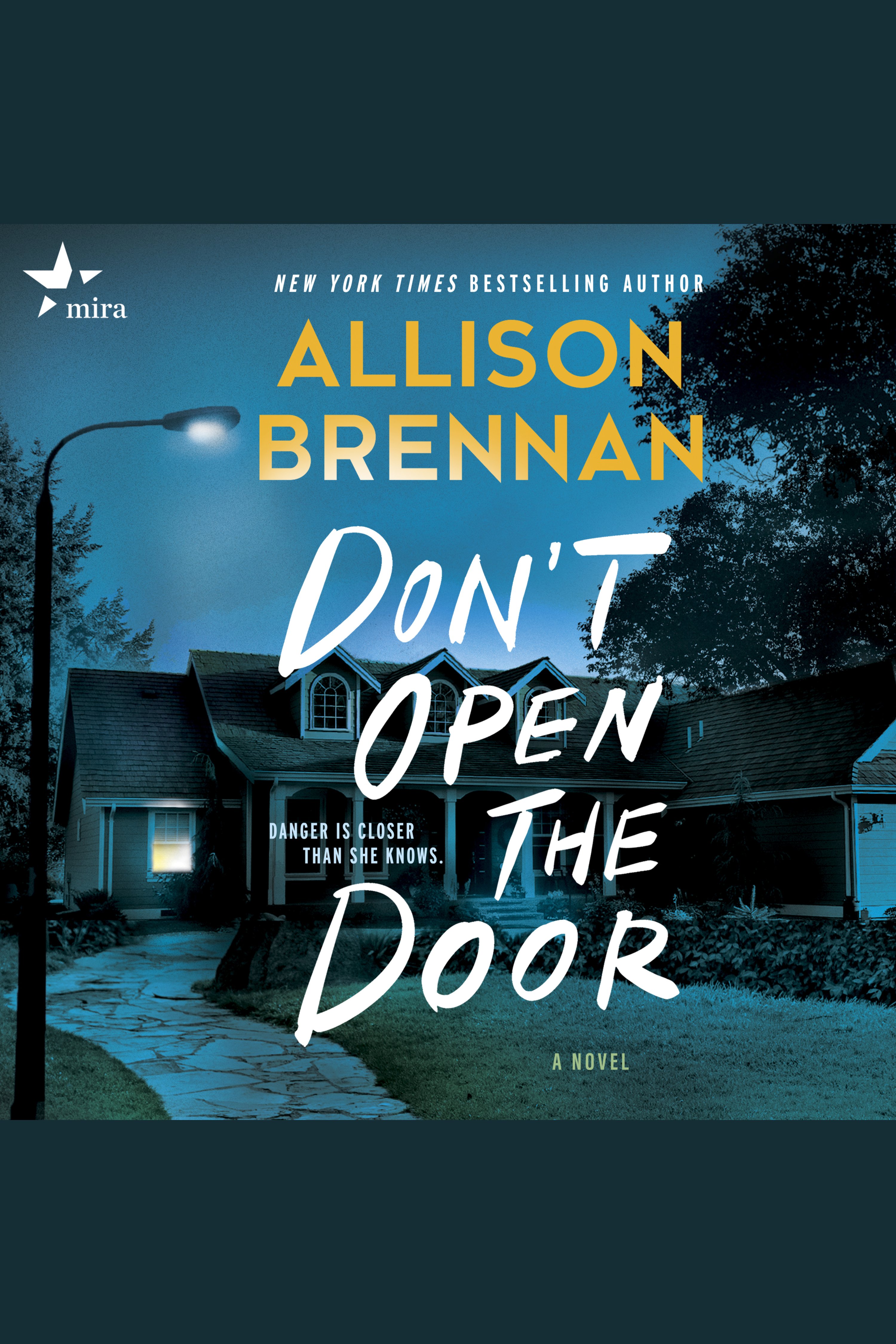 Cover image for Don't Open the Door [electronic resource] : A Novel