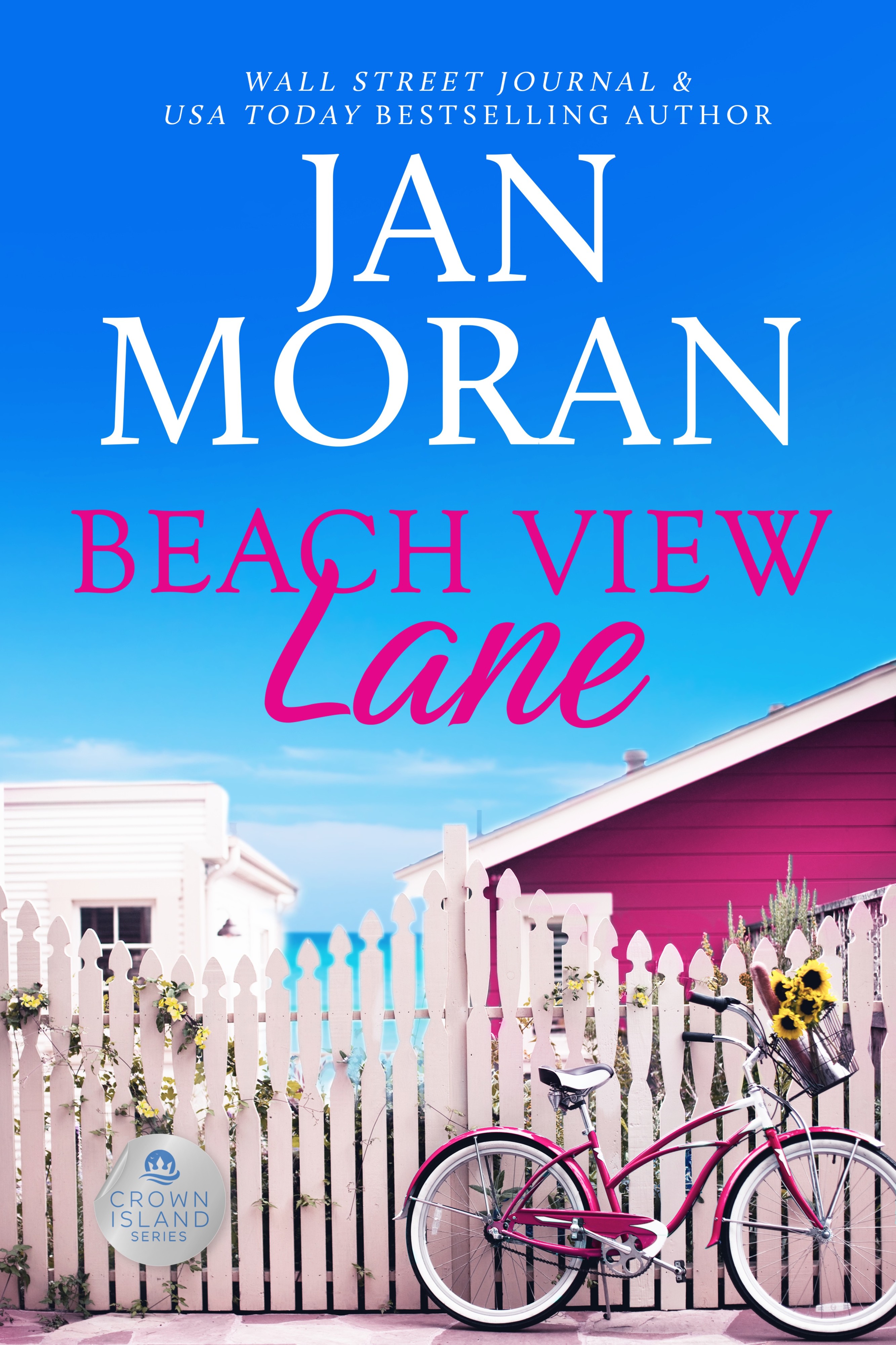 Cover image for Beach View Lane [electronic resource] :