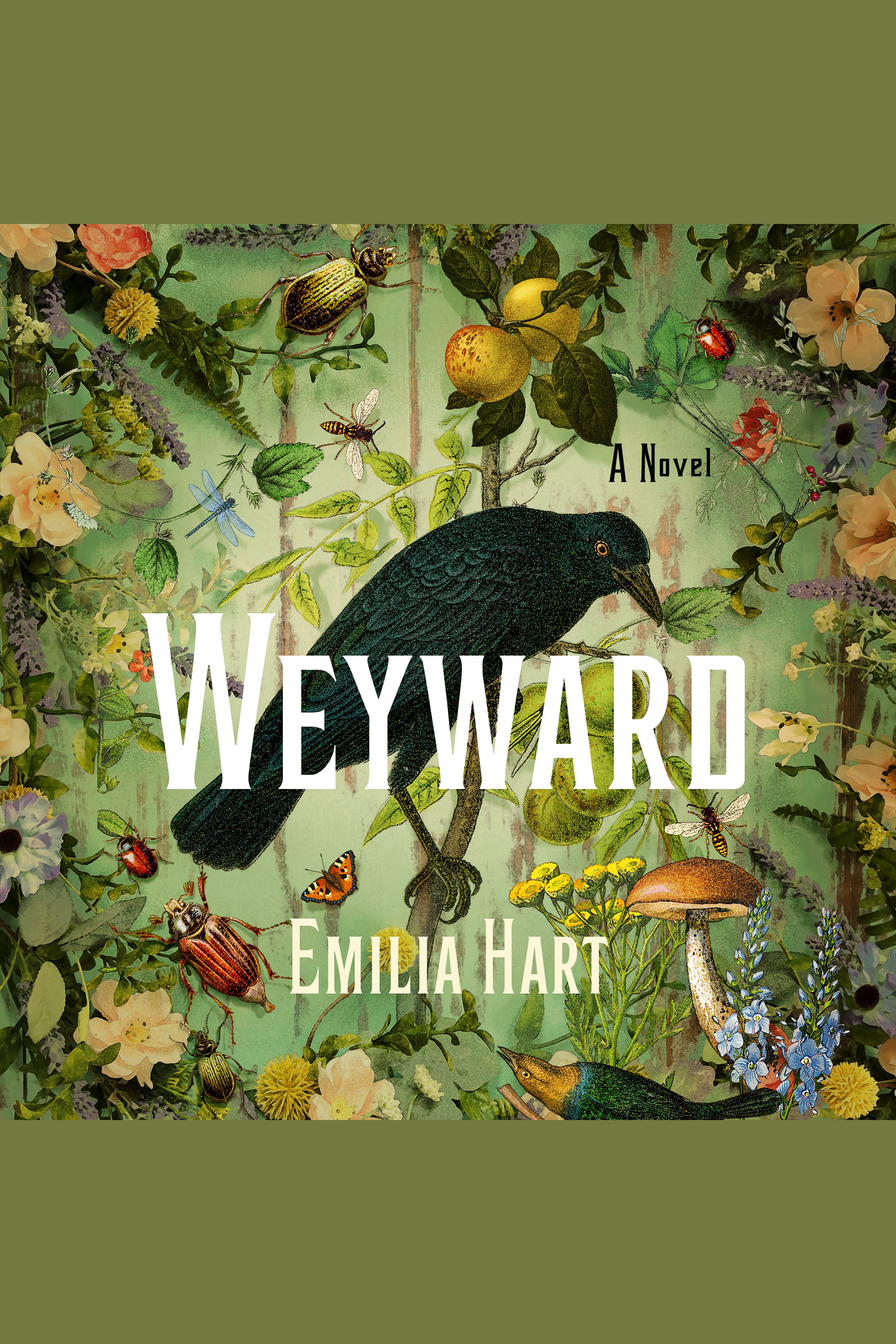 Cover image for Weyward [electronic resource] : A Novel