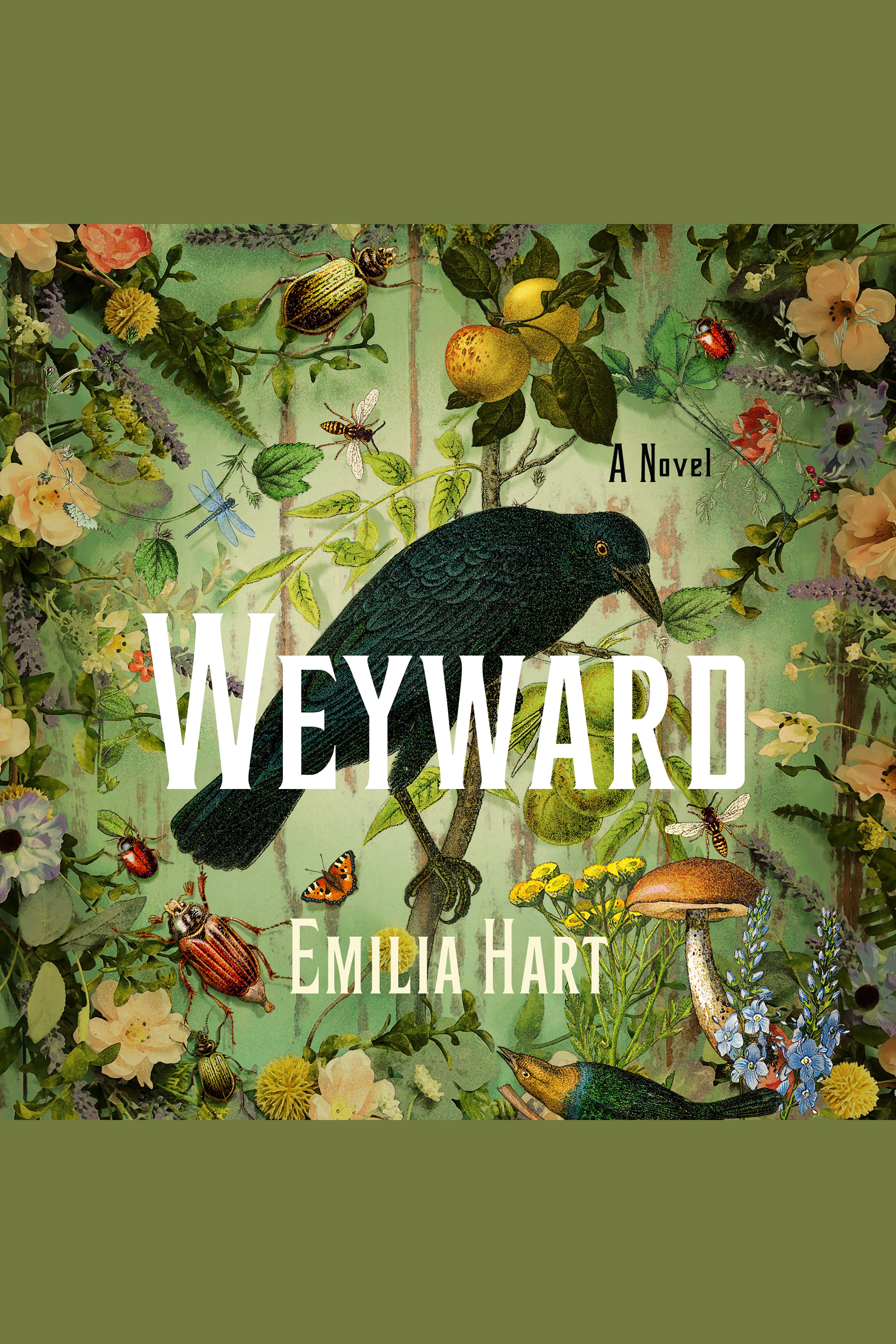 Imagen de portada para Weyward [electronic resource] : A Novel
