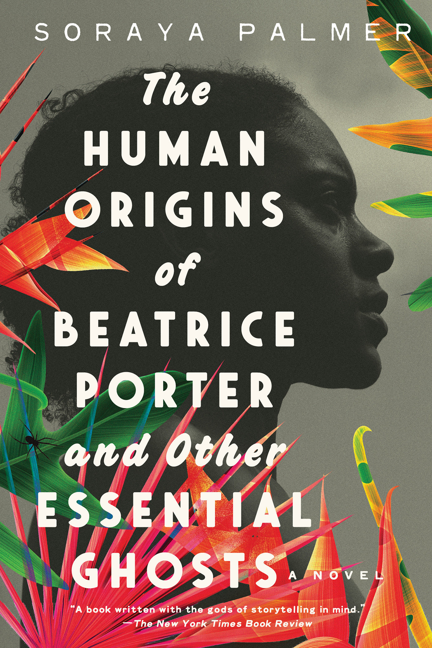 The Human Origins of Beatrice Porter and Other Essential Ghosts A Novel