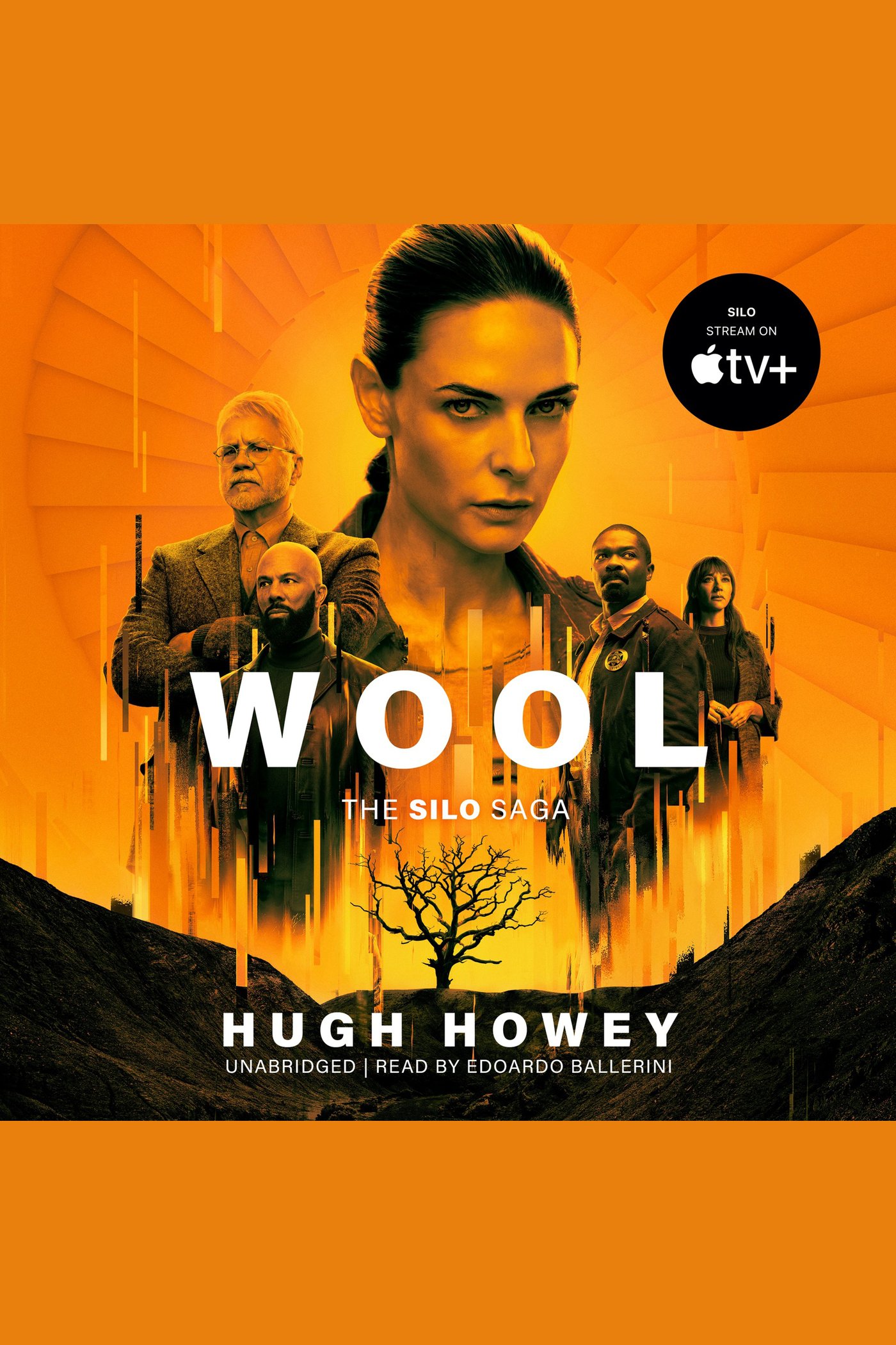 Wool cover image