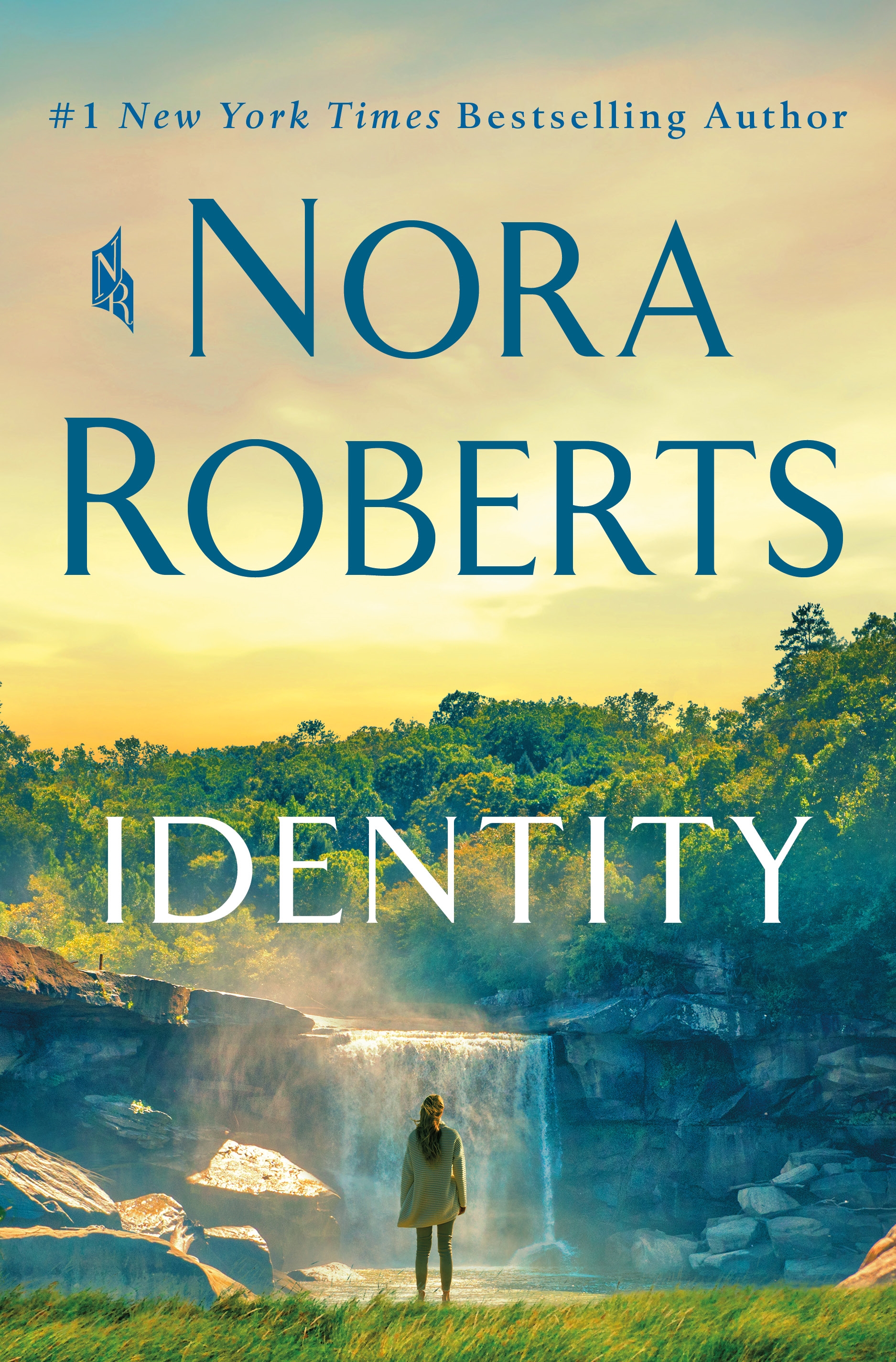 Cover image for Identity [electronic resource] : A Novel