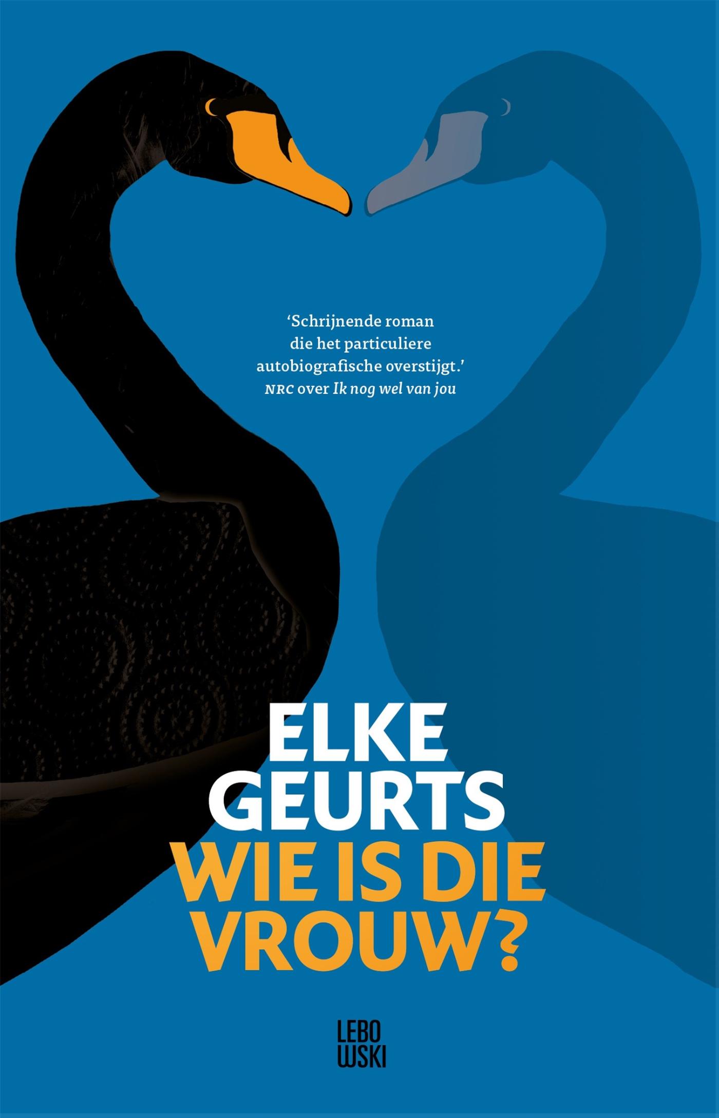 Wie is die vrouw? : roman
