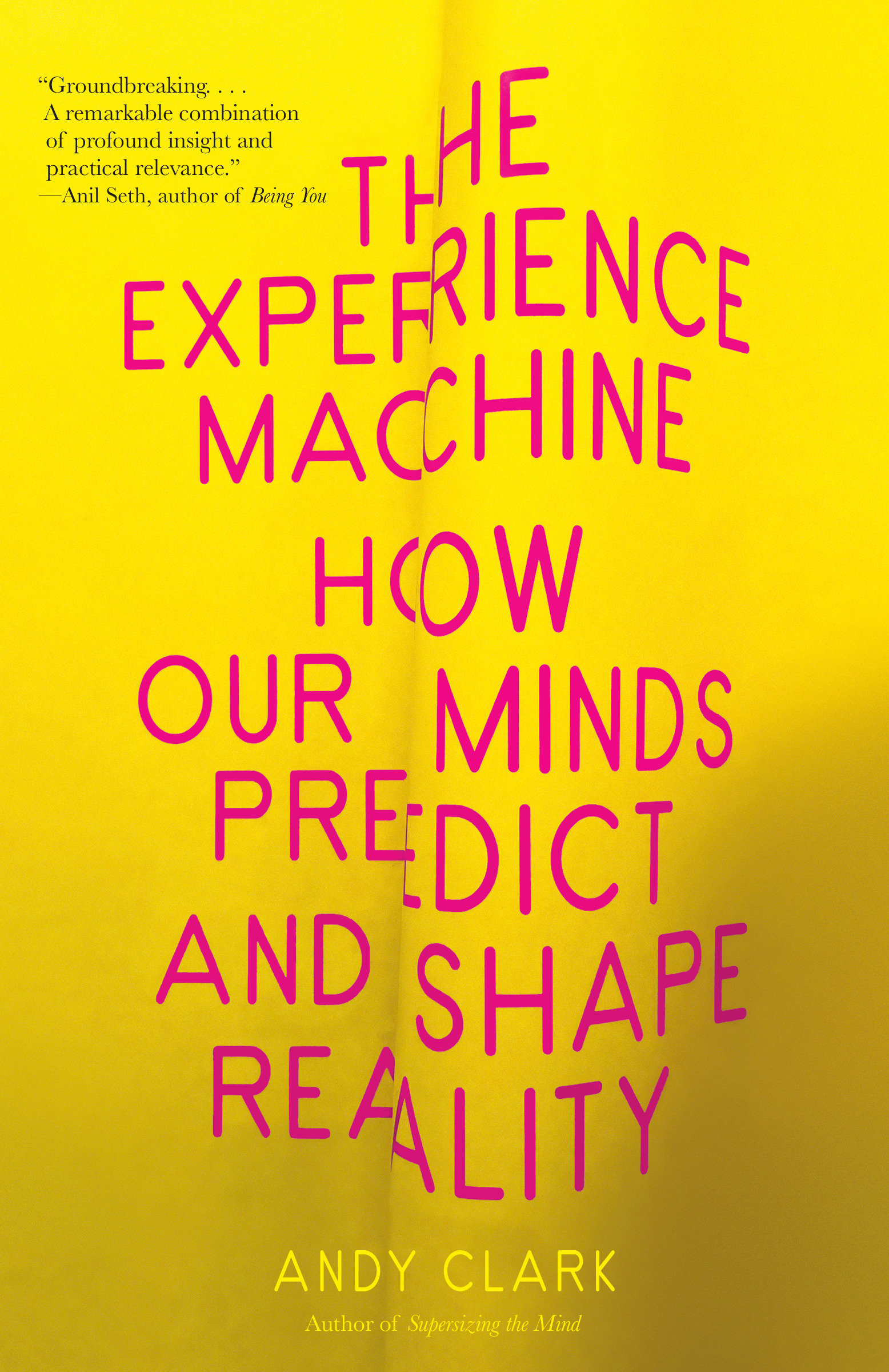 The Experience Machine How Our Minds Predict and Shape Reality cover image