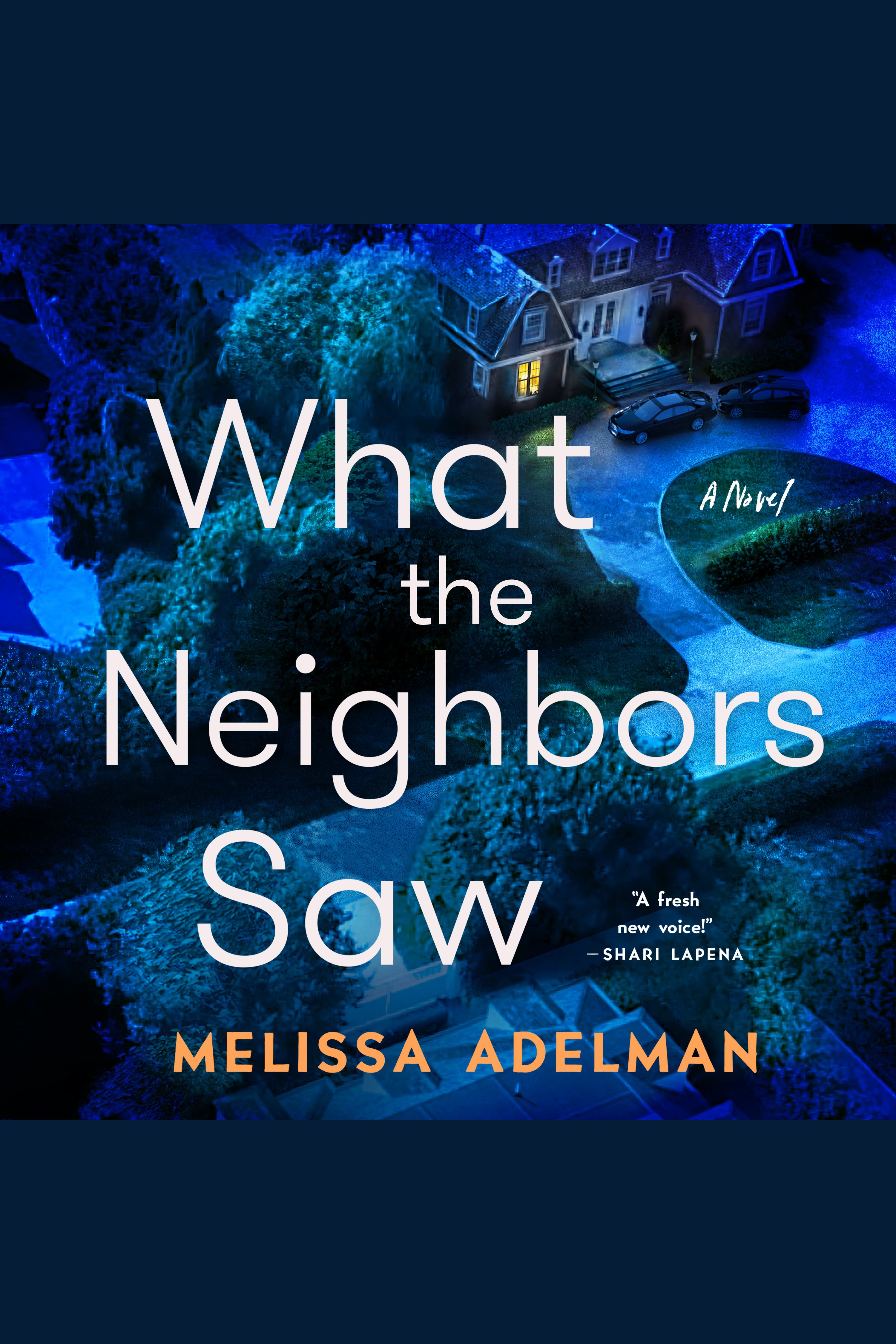 What the Neighbors Saw cover image