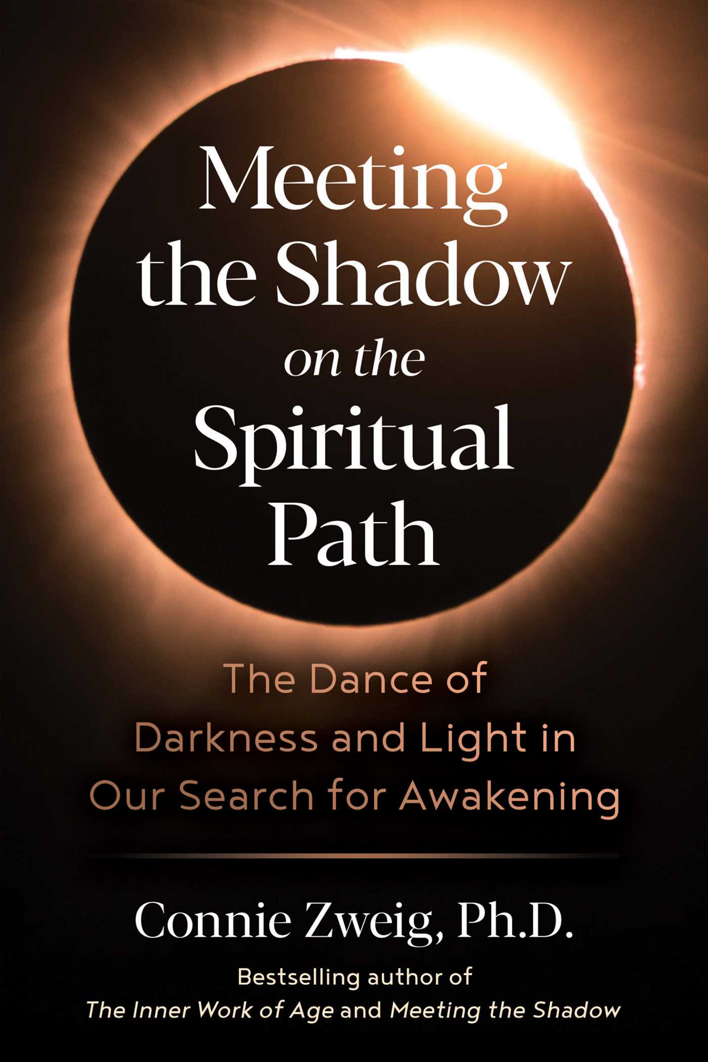 Meeting the Shadow on the Spiritual Path The Dance of Darkness and Light in Our Search for Awakening cover image