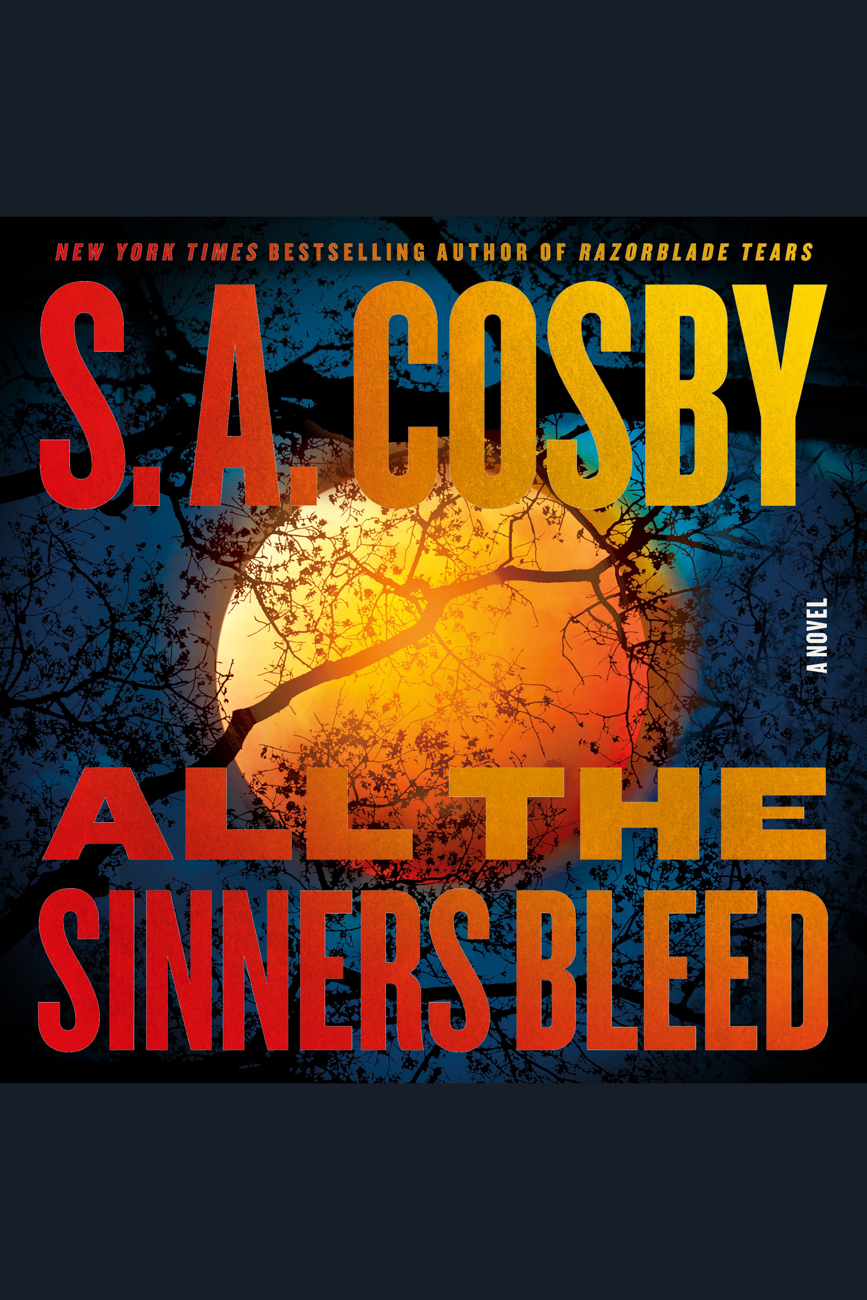 Image de couverture de All the Sinners Bleed [electronic resource] : A Novel
