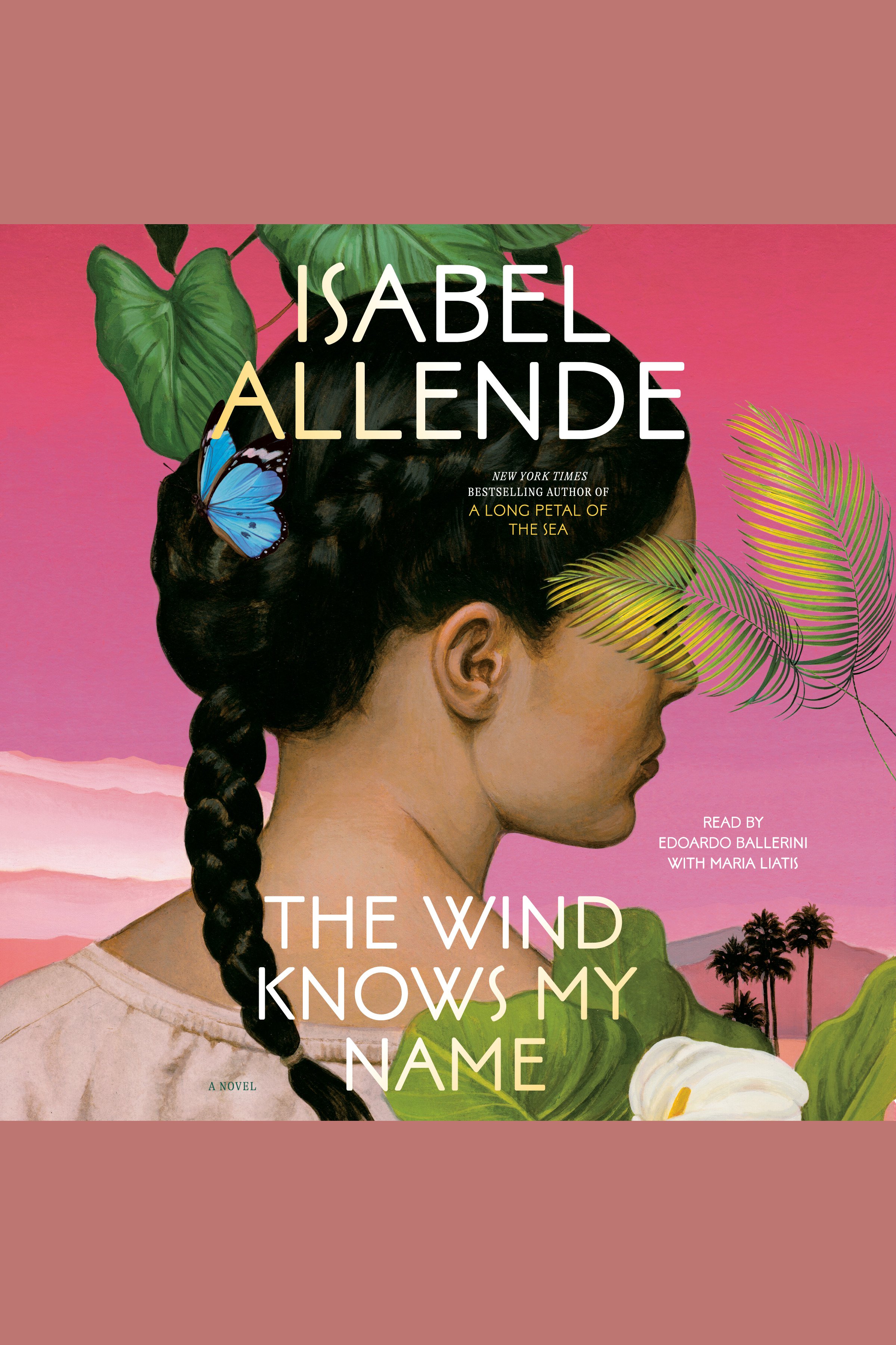 Cover image for The Wind Knows My Name [electronic resource] : A Novel