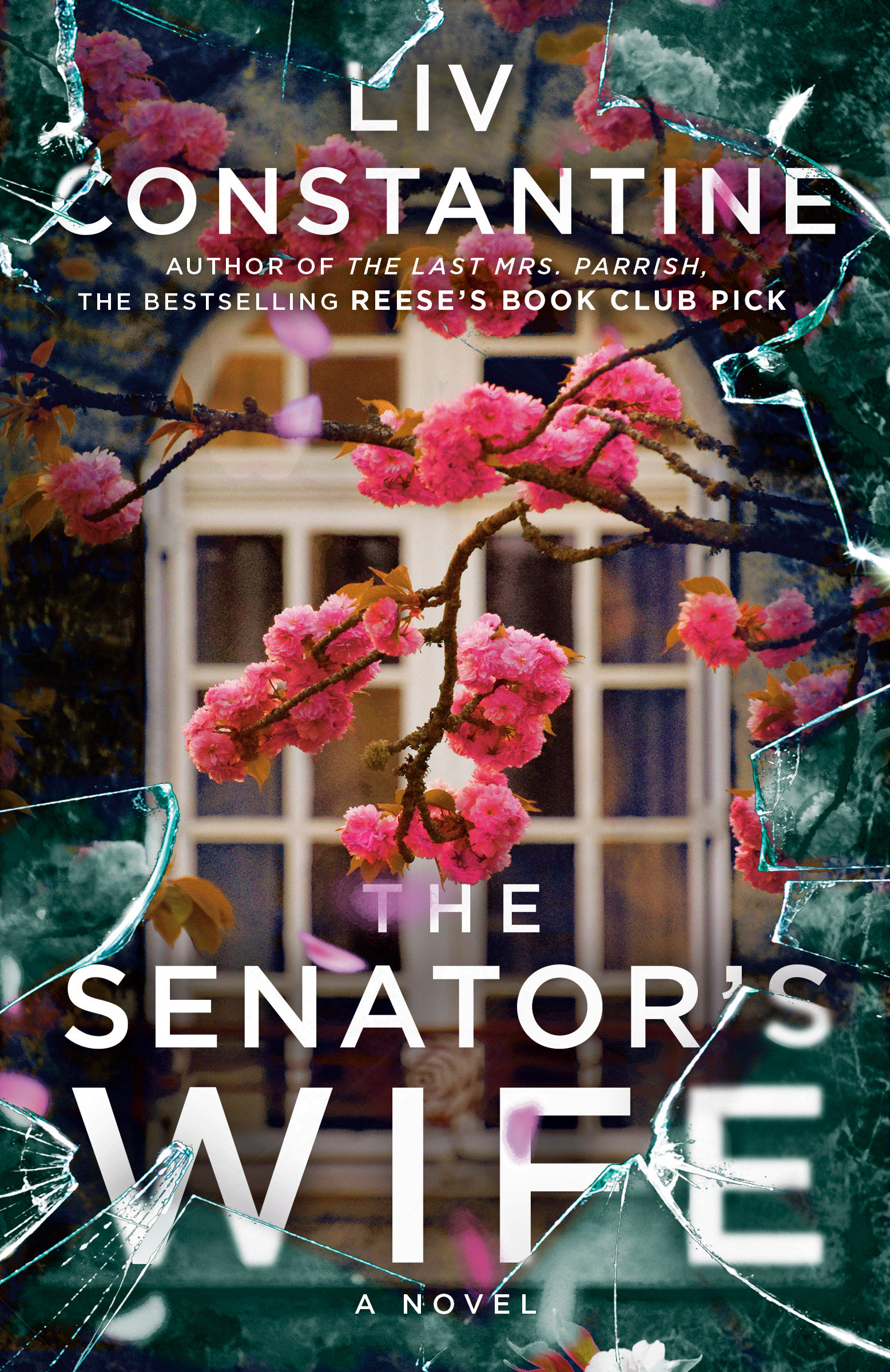 The Senator's Wife cover image