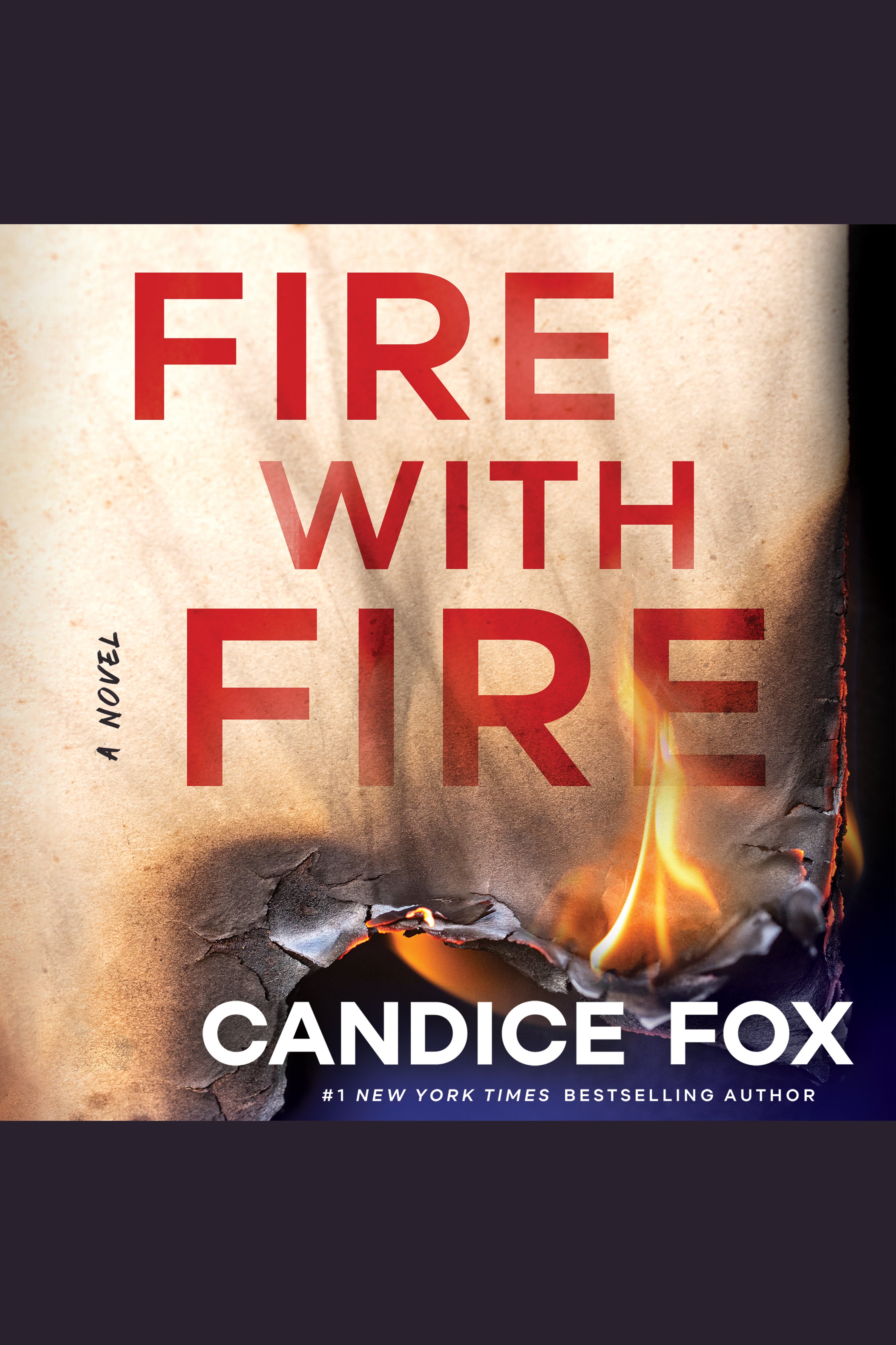 Imagen de portada para Fire with Fire [electronic resource] : A Novel
