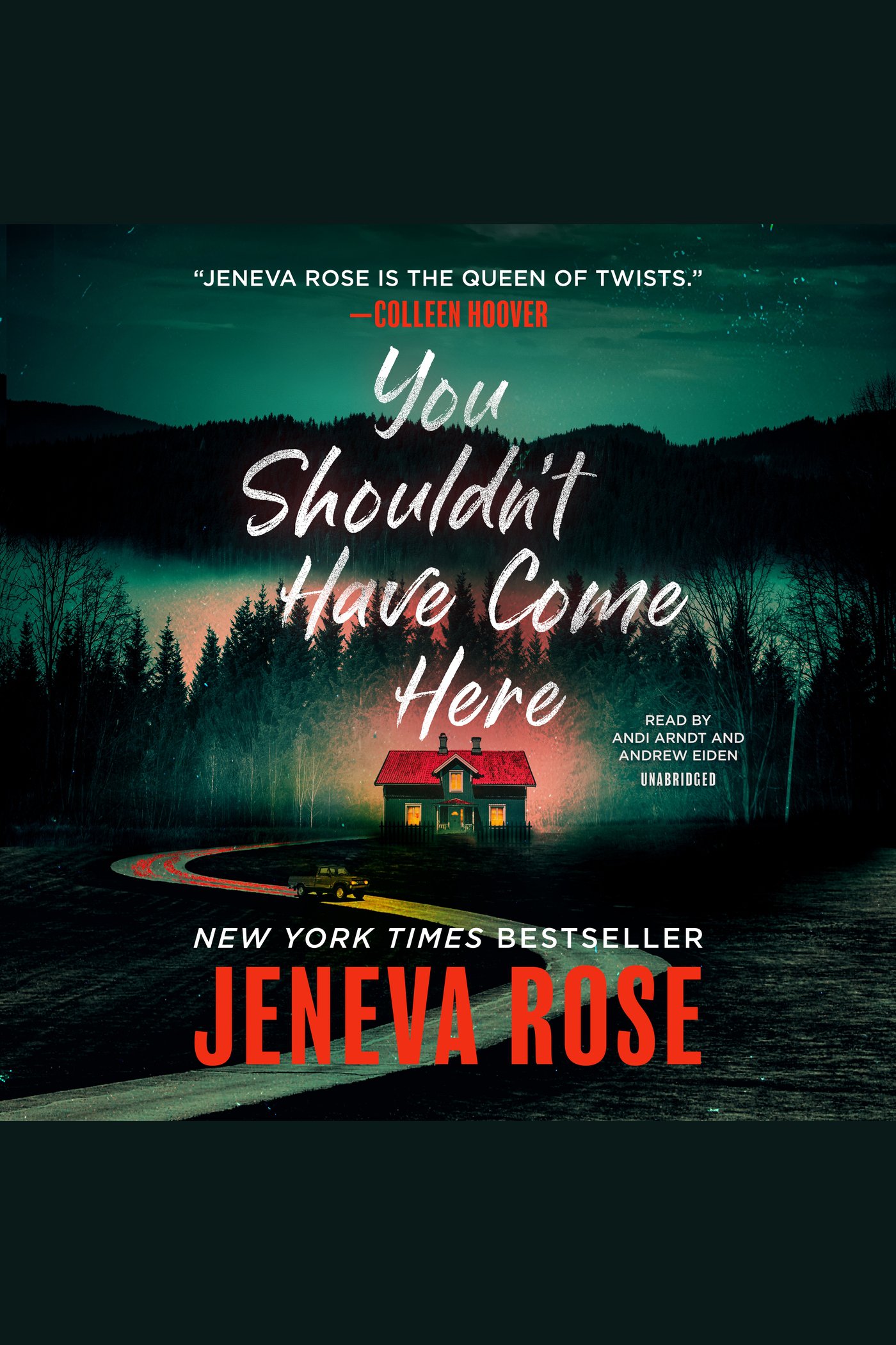 You Shouldn’t Have Come Here cover image