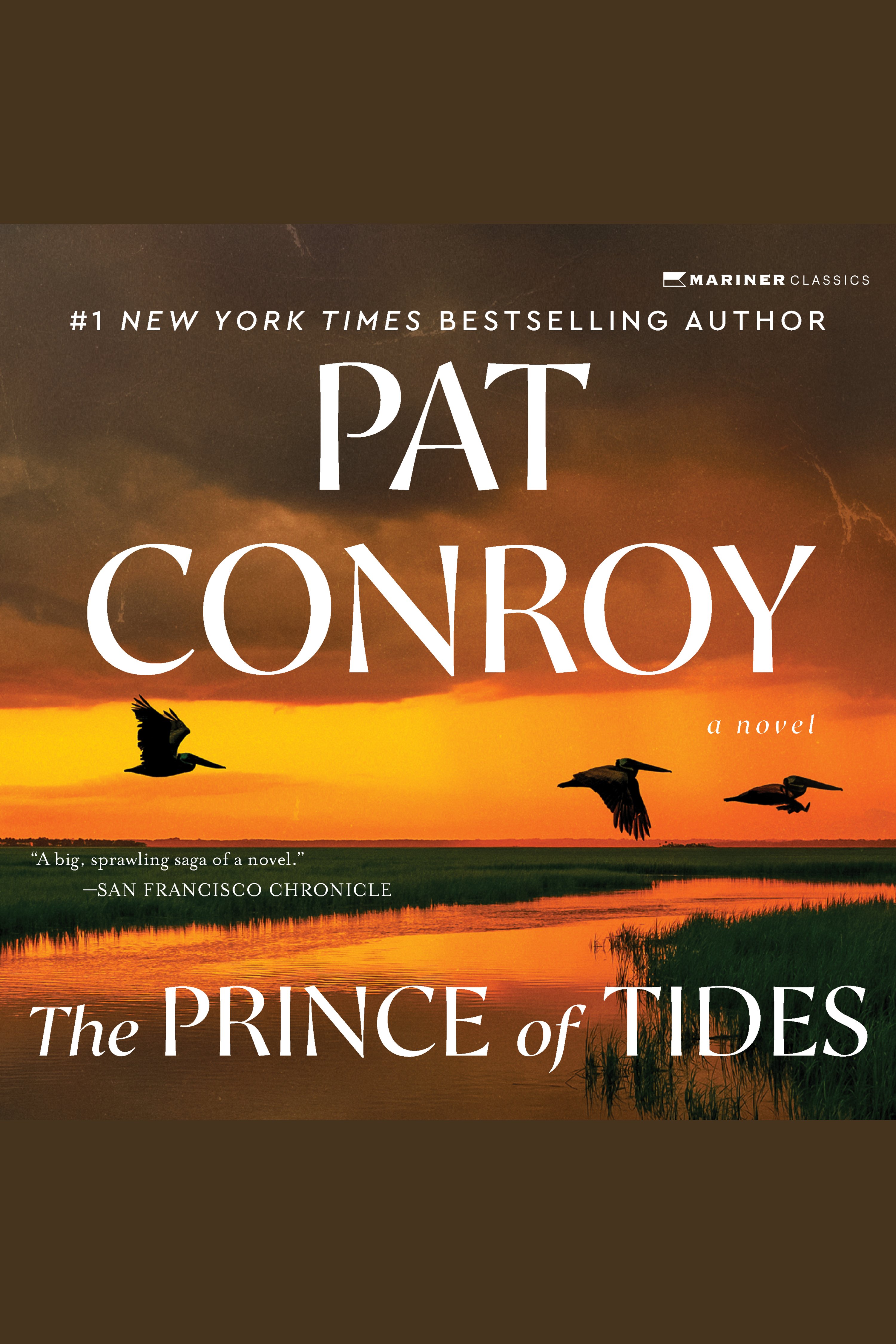 The Prince of Tides cover image