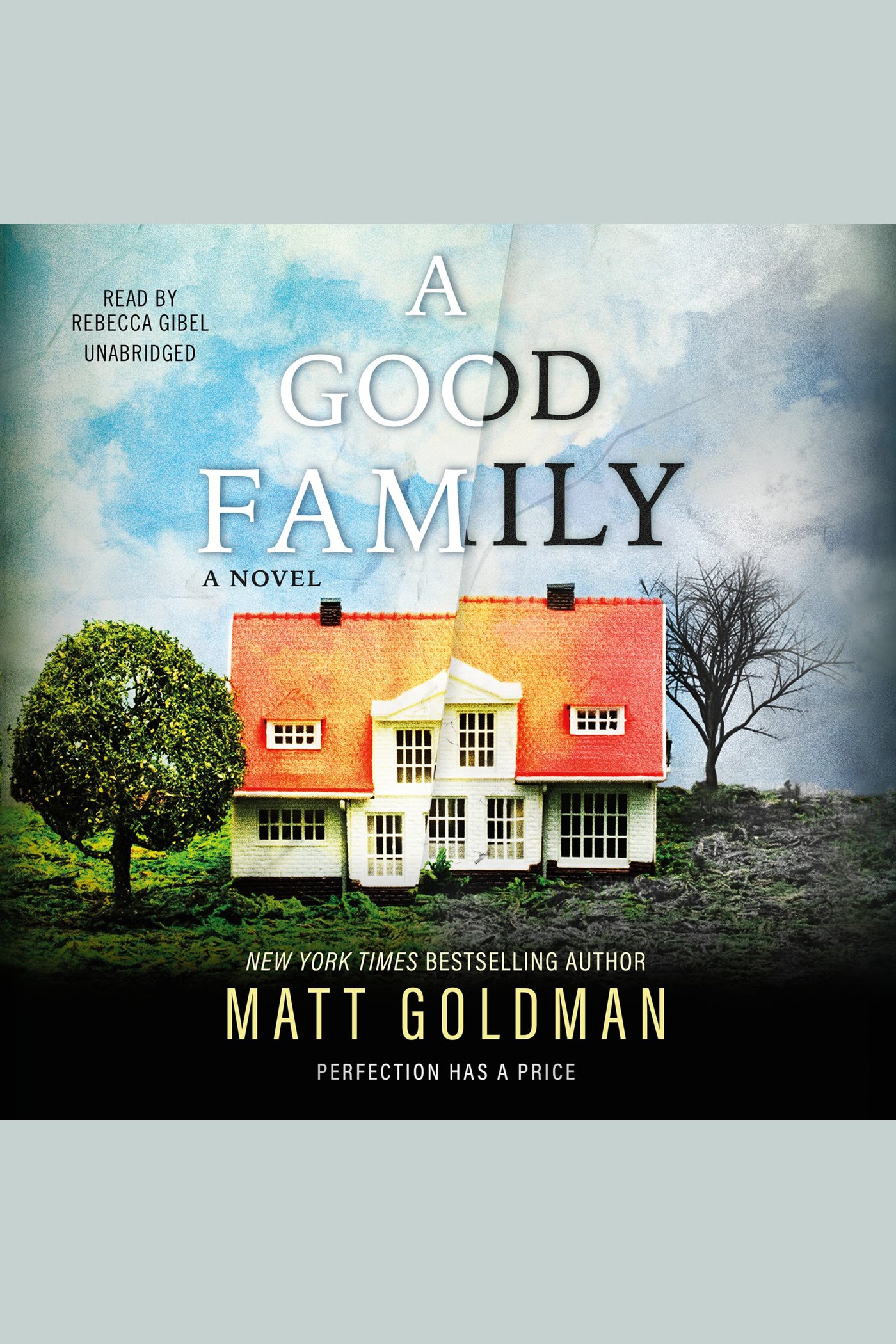 Umschlagbild für A Good Family [electronic resource] :