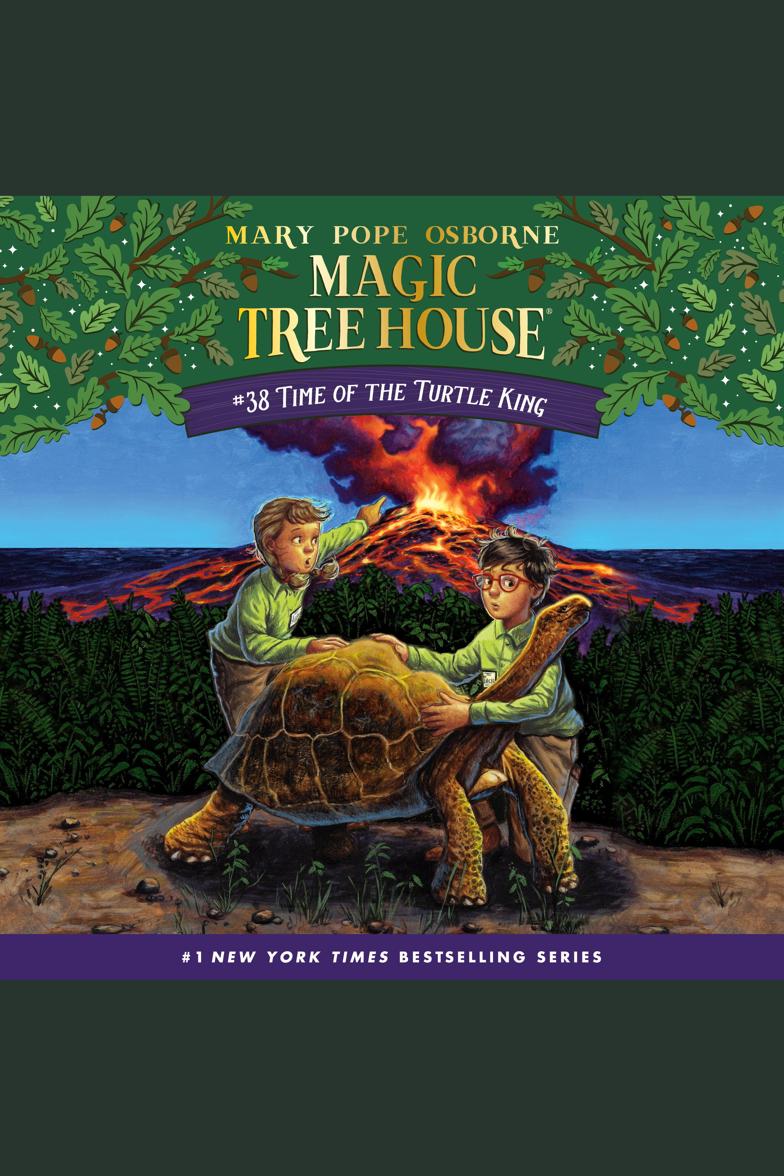 Time of the Turtle King cover image