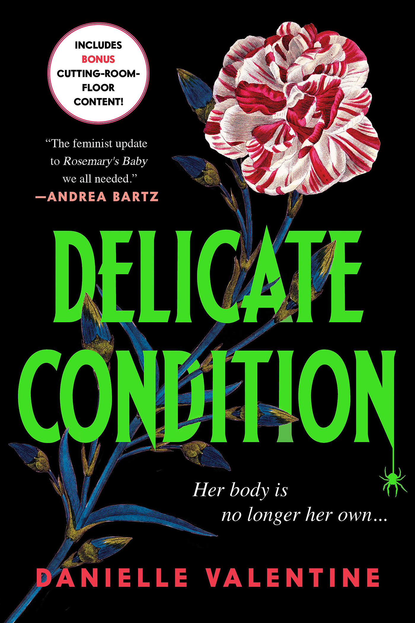 Cover image for Delicate Condition [electronic resource] :