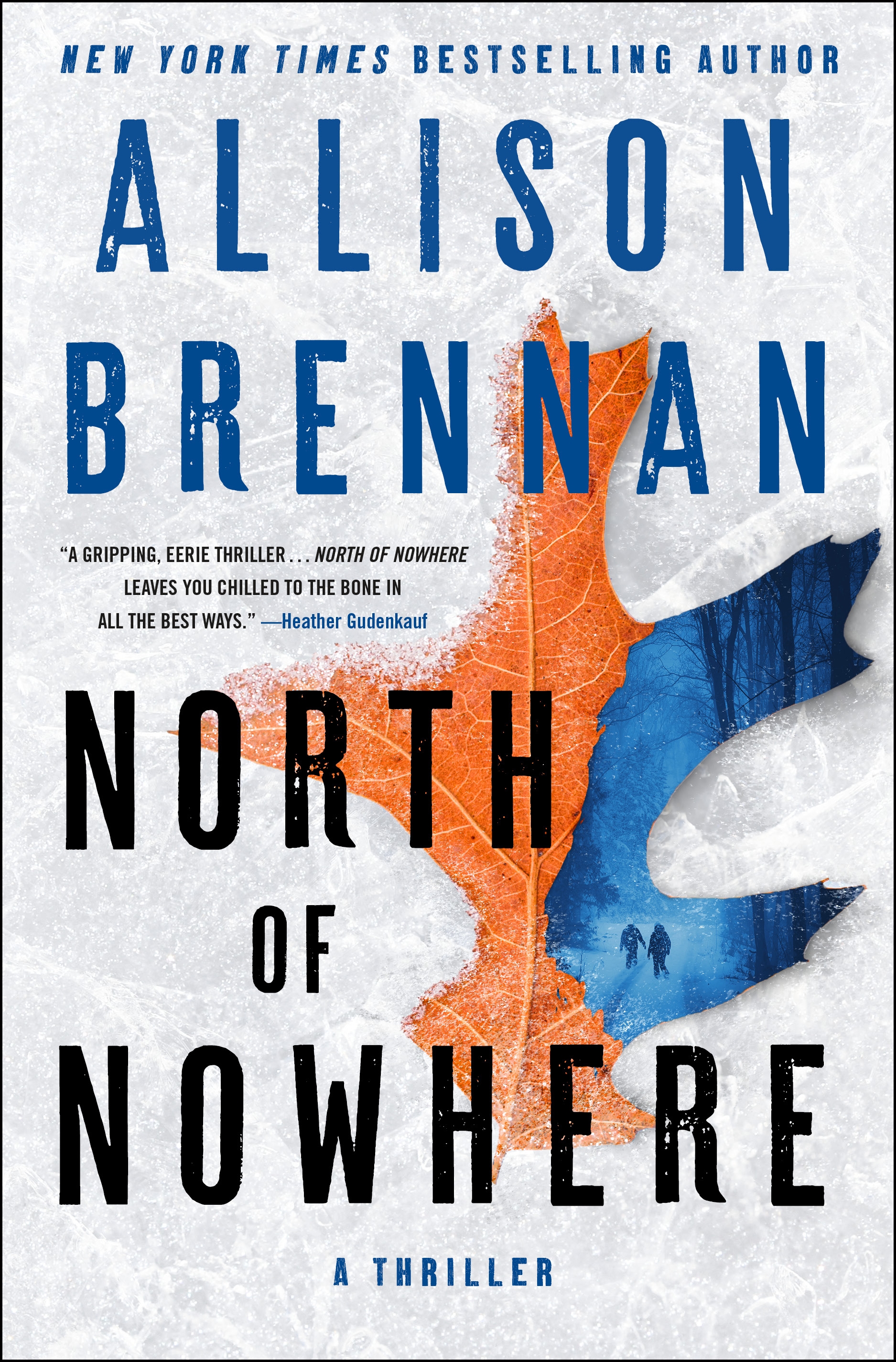 Umschlagbild für North of Nowhere [electronic resource] : A Thriller