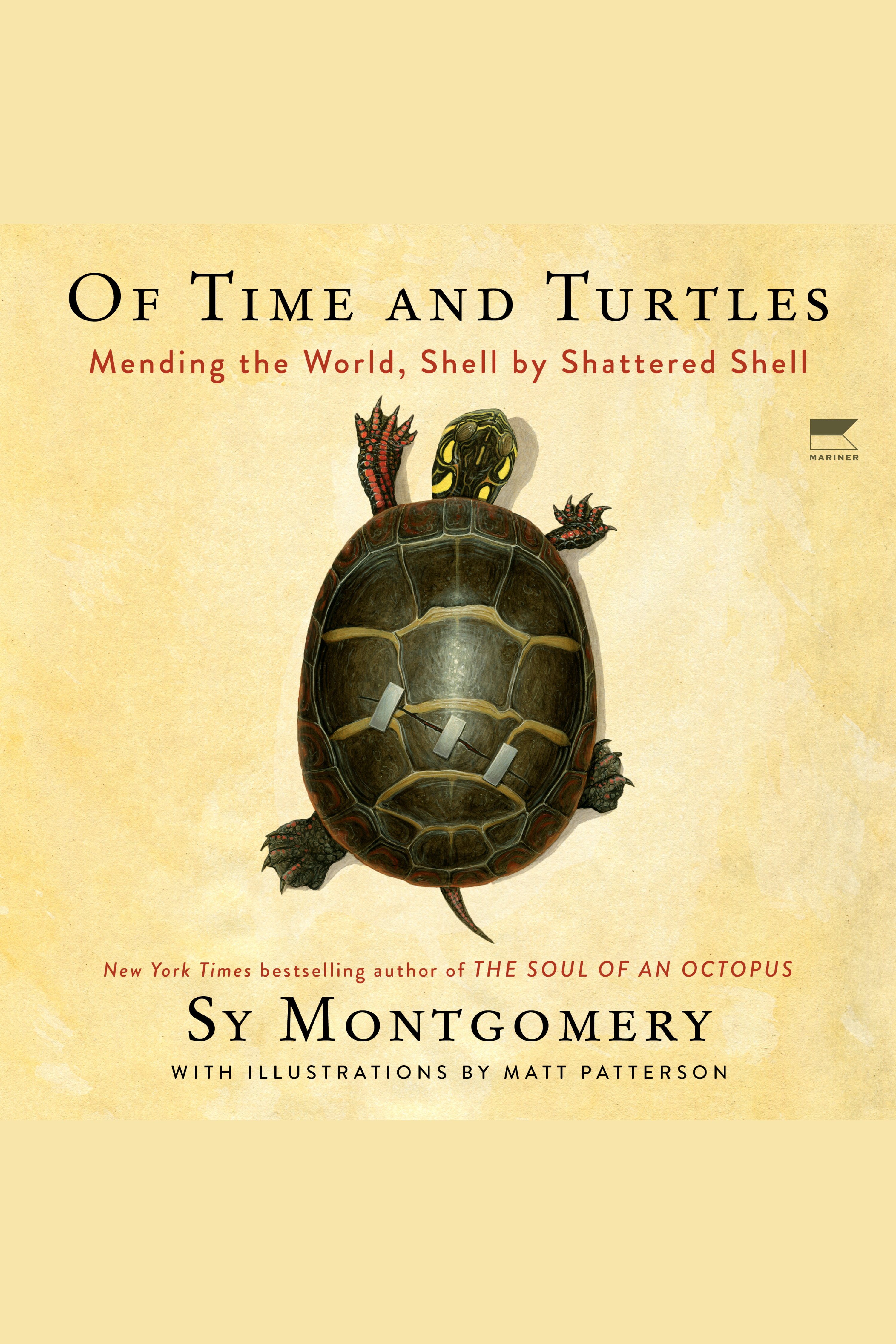 Of Time and Turtles Mending the World, Shell by Shattered Shell cover image