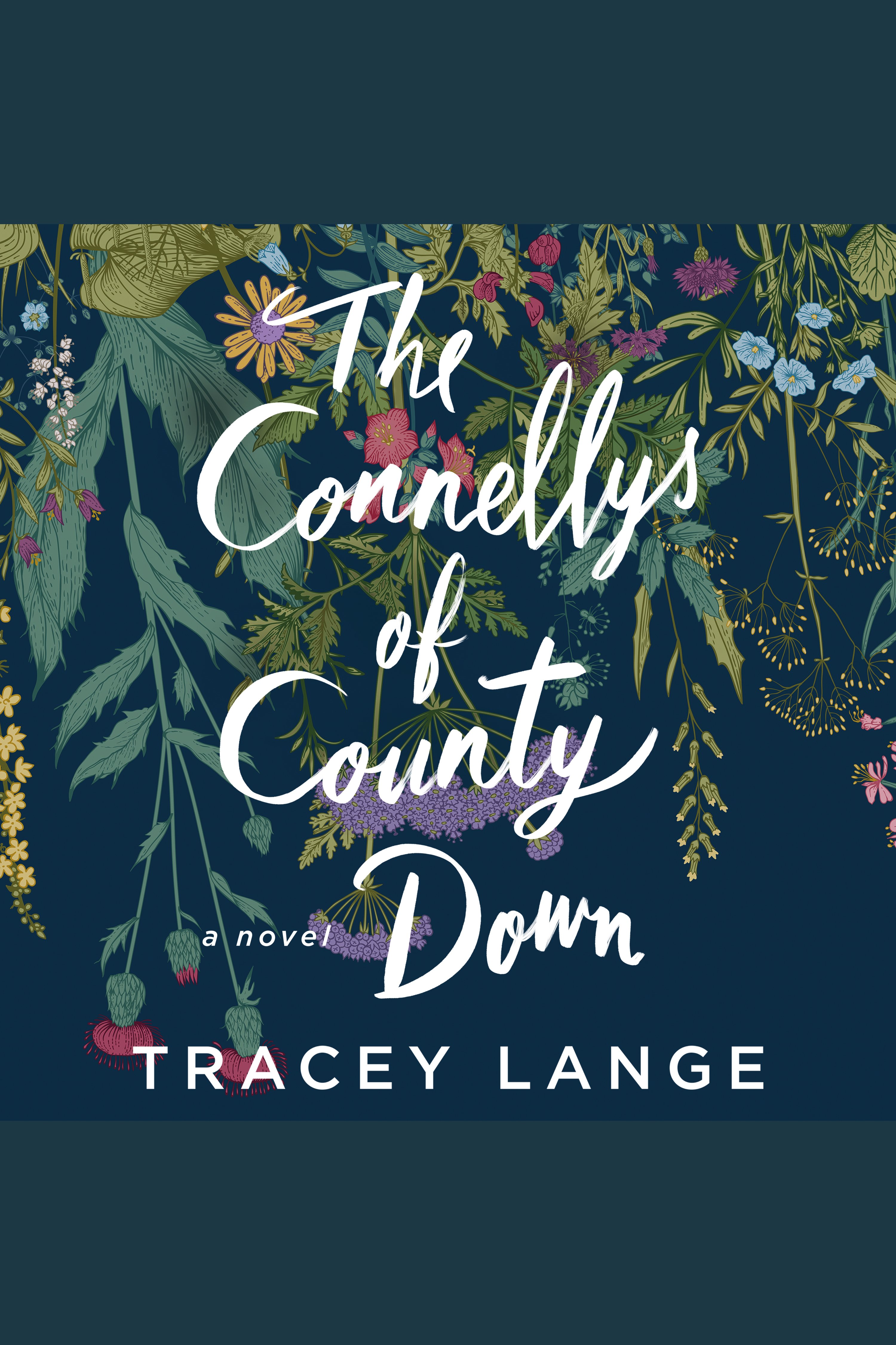 Cover image for The Connellys of County Down [electronic resource] : A Novel