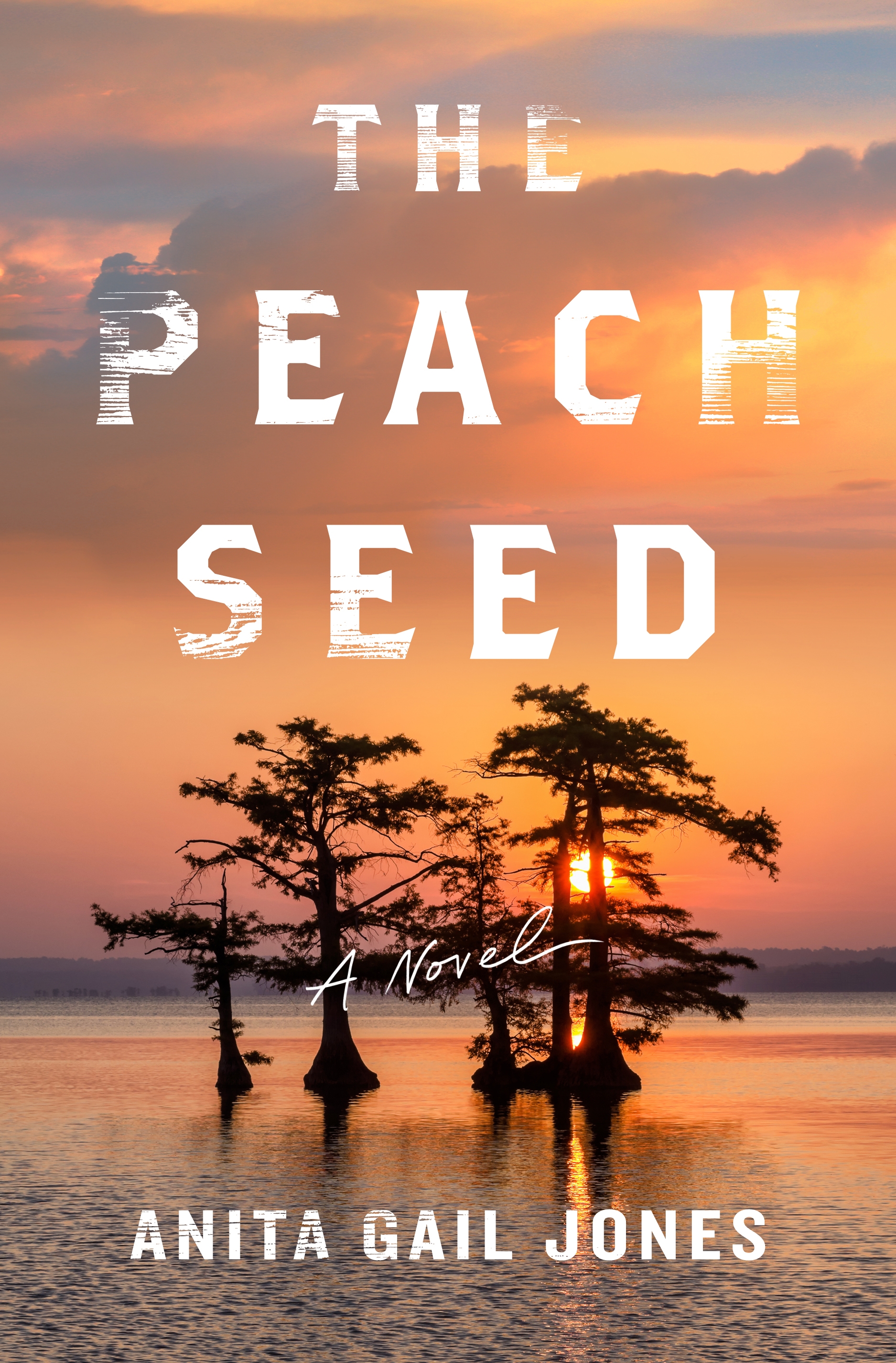 Cover image for The Peach Seed [electronic resource] : A Novel