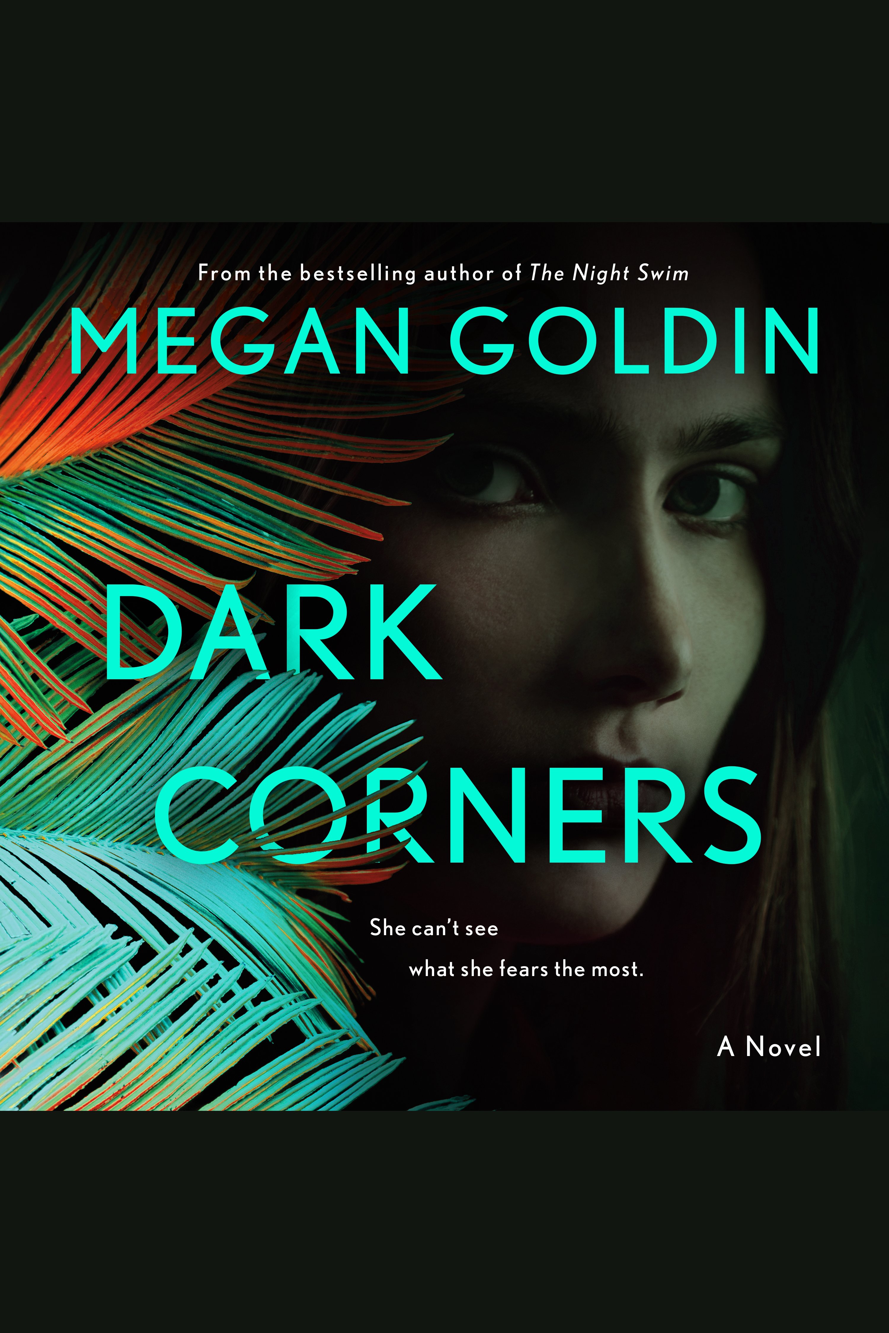 Umschlagbild für Dark Corners [electronic resource] : A Novel