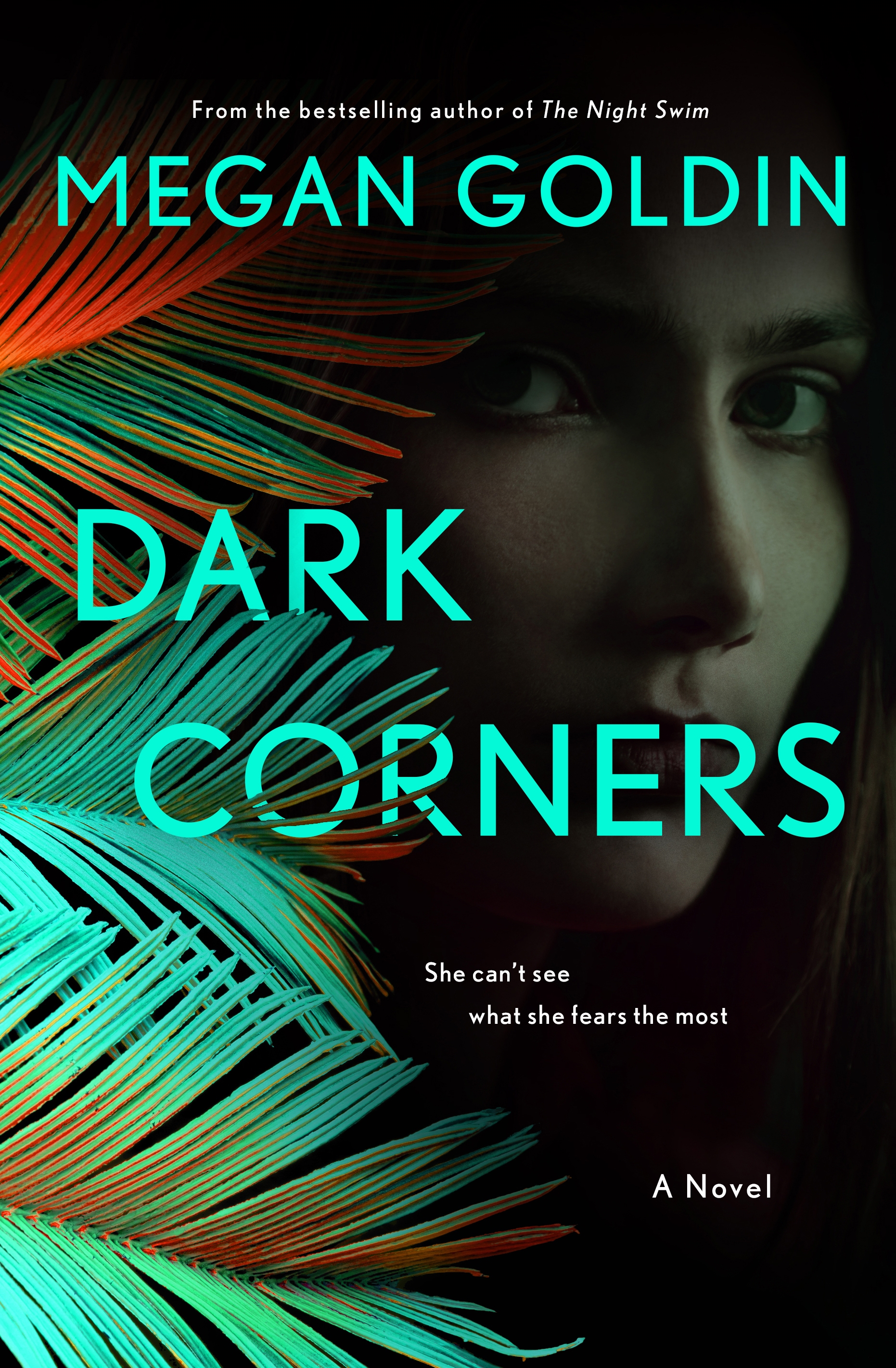 Cover image for Dark Corners [electronic resource] : A Novel