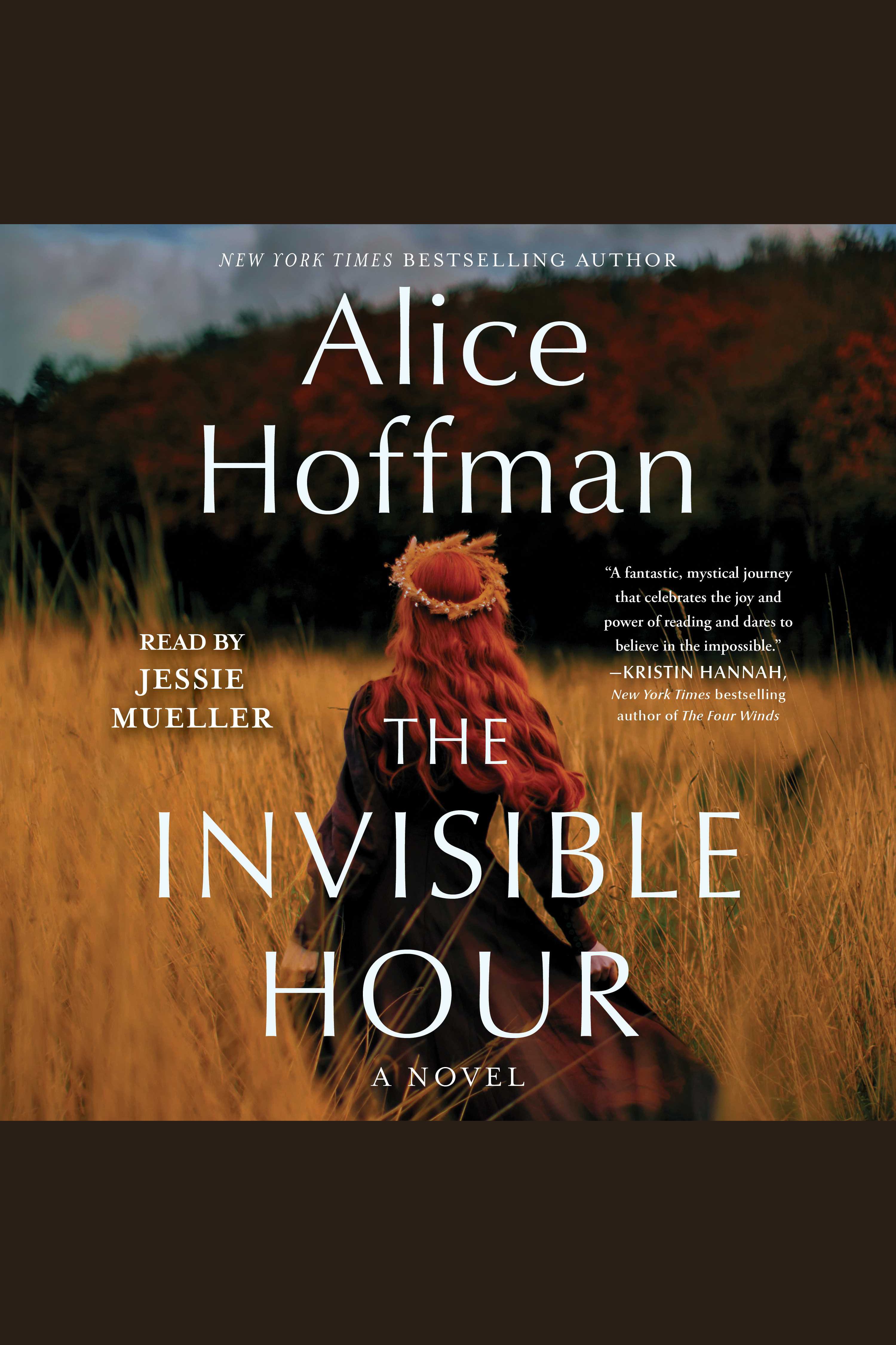 Image de couverture de The Invisible Hour [electronic resource] : A Novel