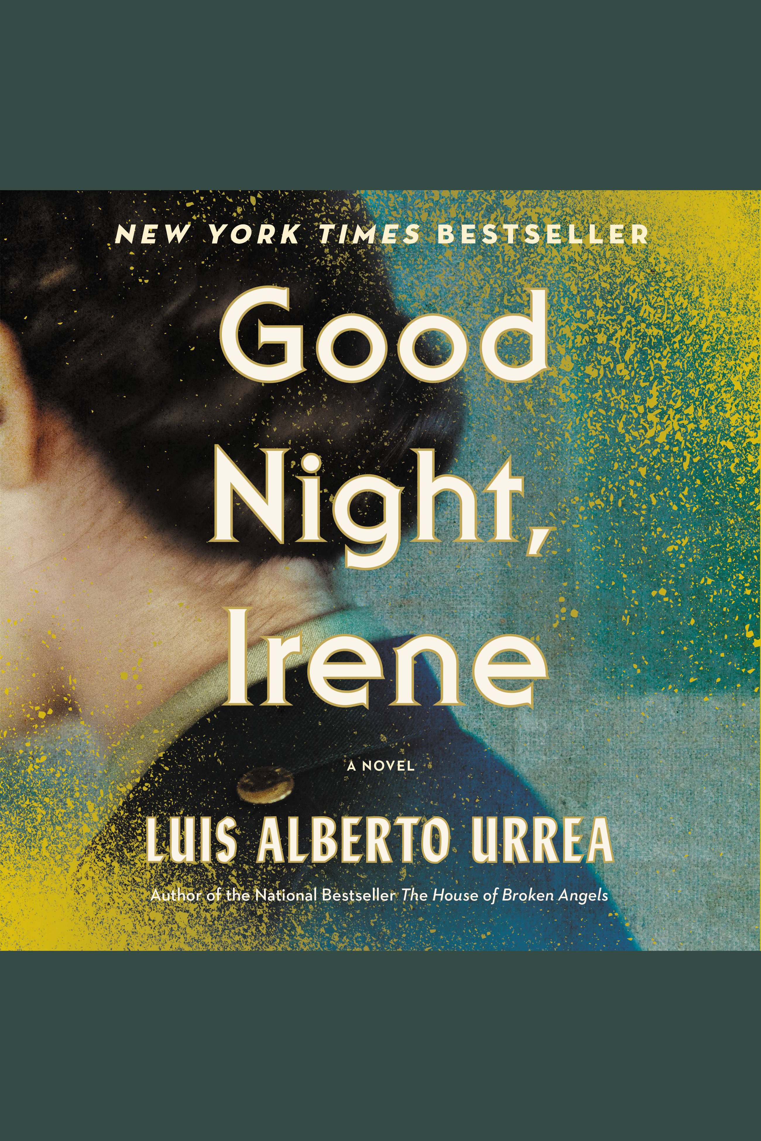 Cover image for Good Night, Irene [electronic resource] : A Novel