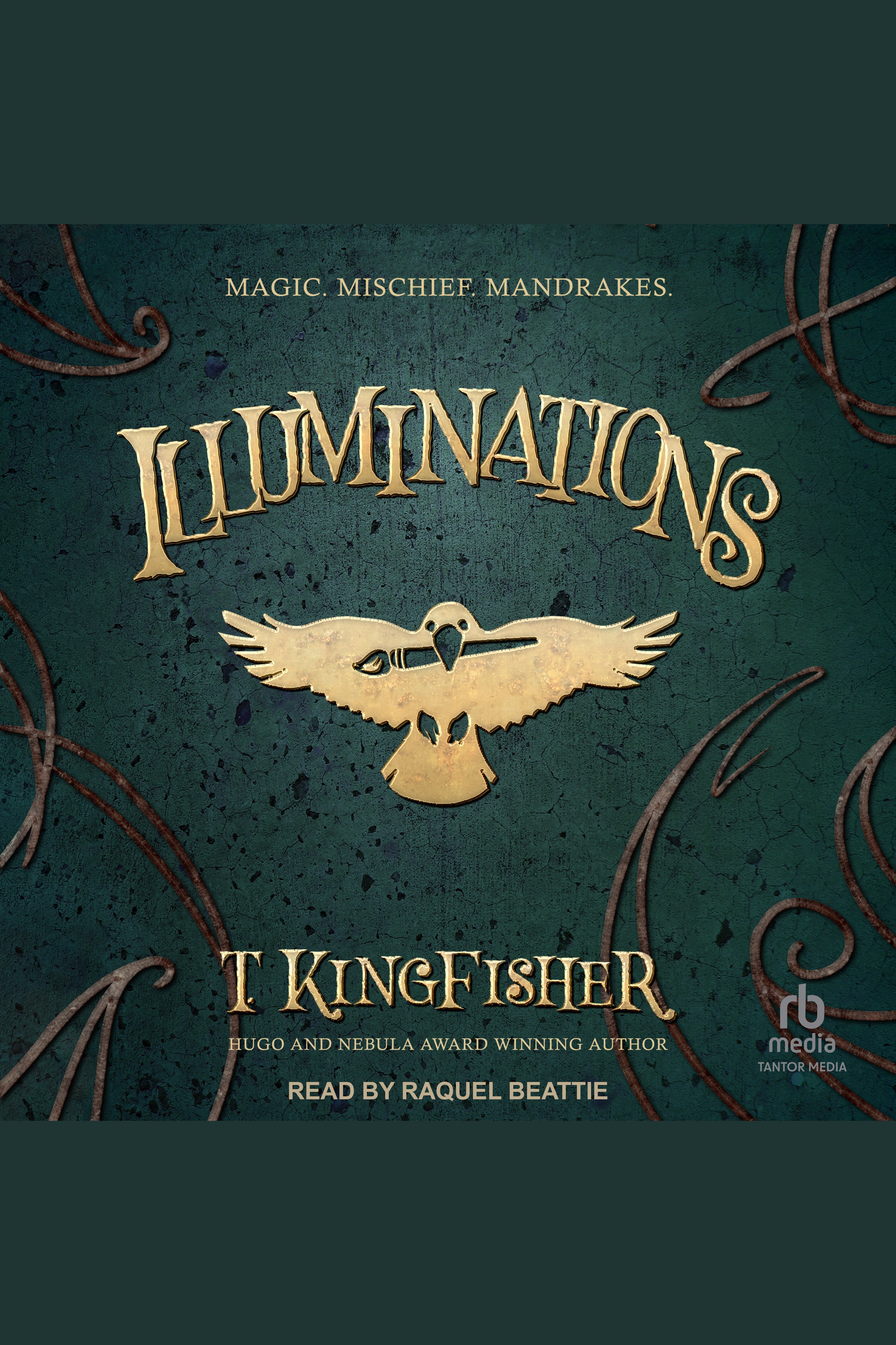 Illuminations cover image