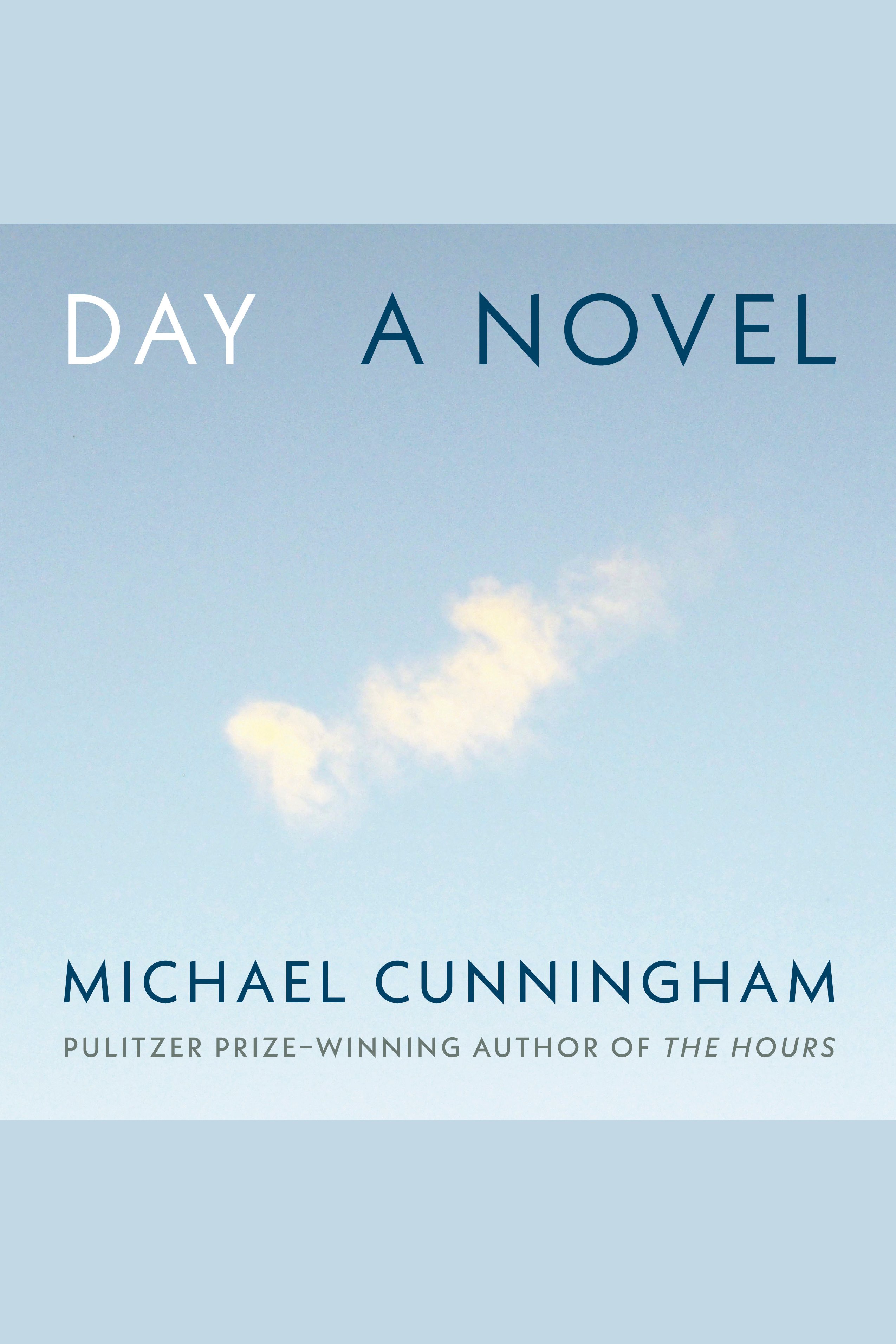 Cover image for Day [electronic resource] : A Novel