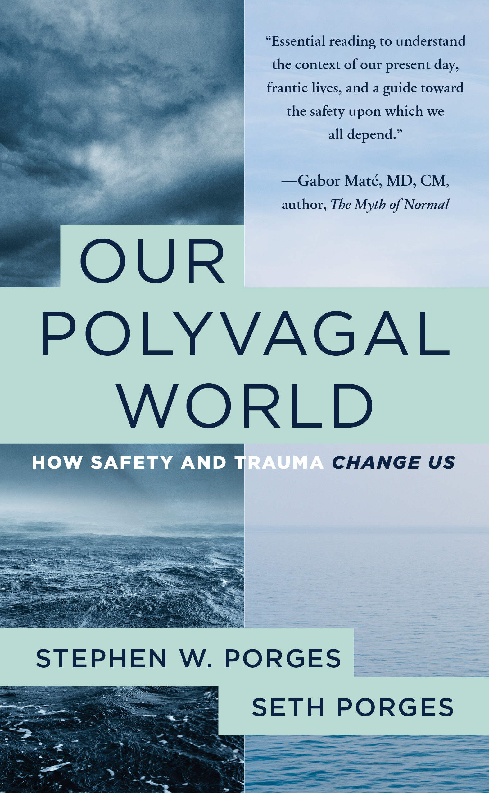 Our Polyvagal World: How Safety and Trauma Change Us cover image