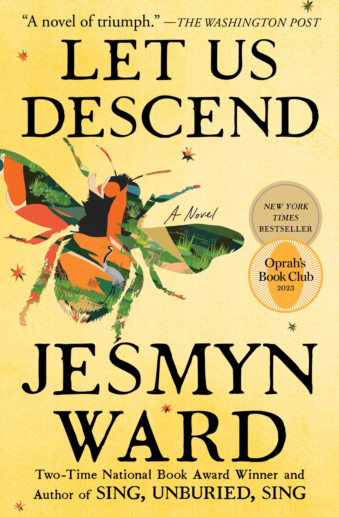 Let us descend : a novel