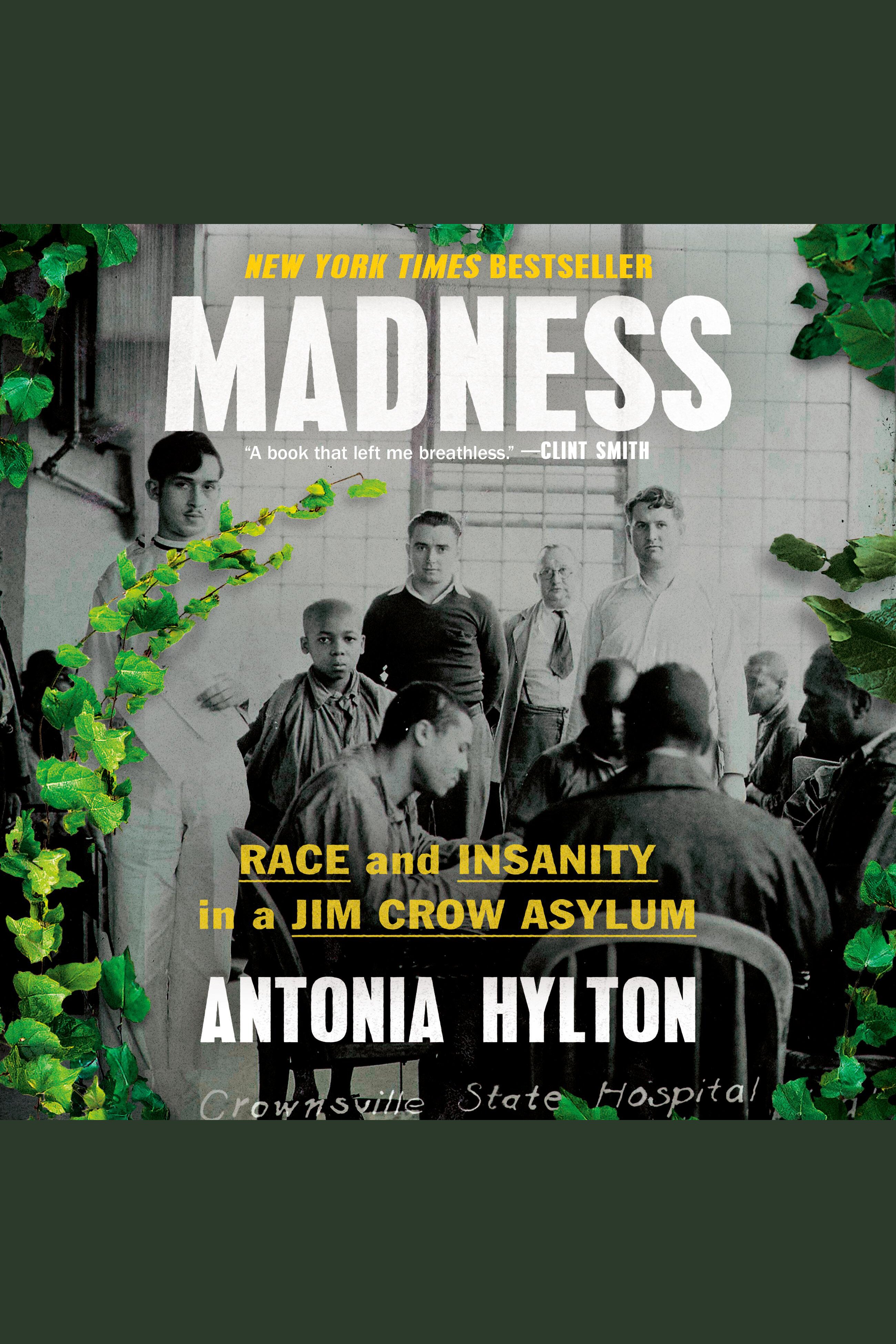 Cover image for Madness [electronic resource] : Race and Insanity in a Jim Crow Asylum